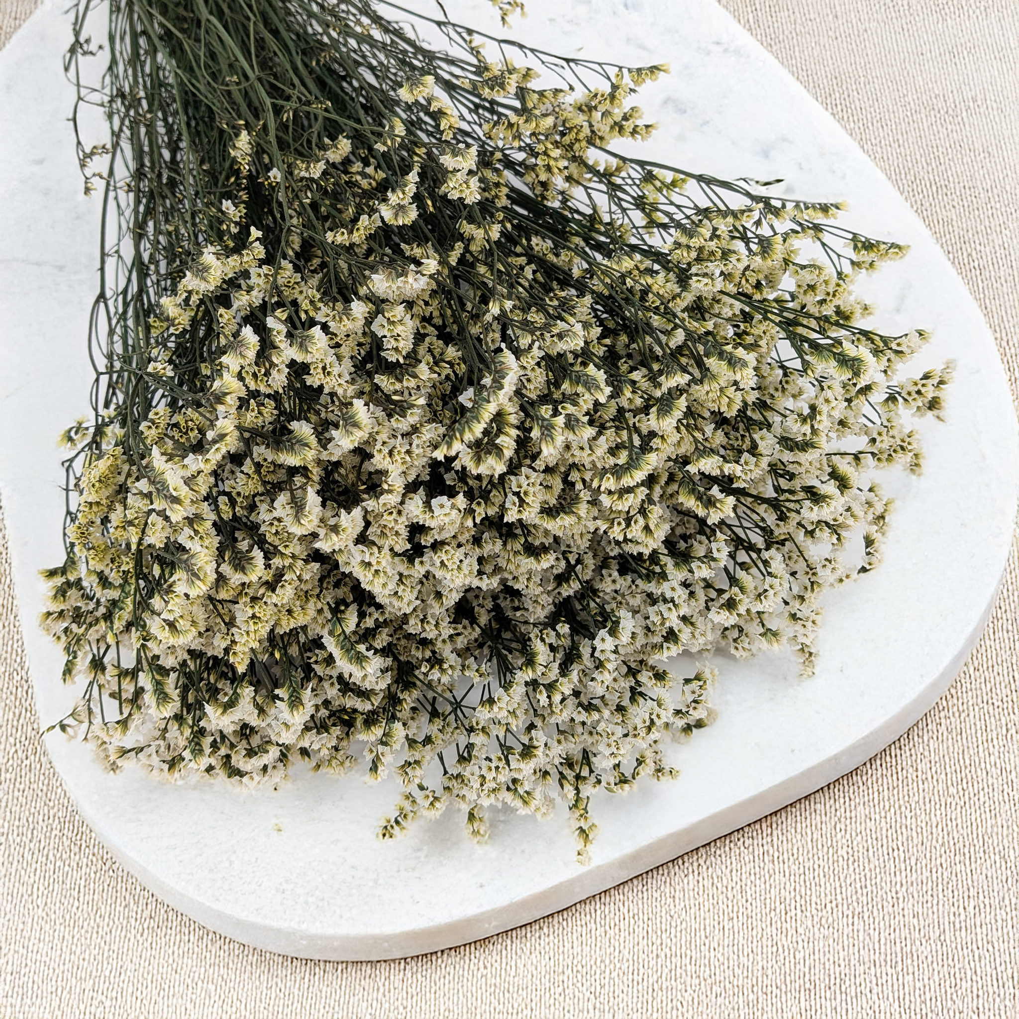 Preserved Limonium Sinense for wreaths