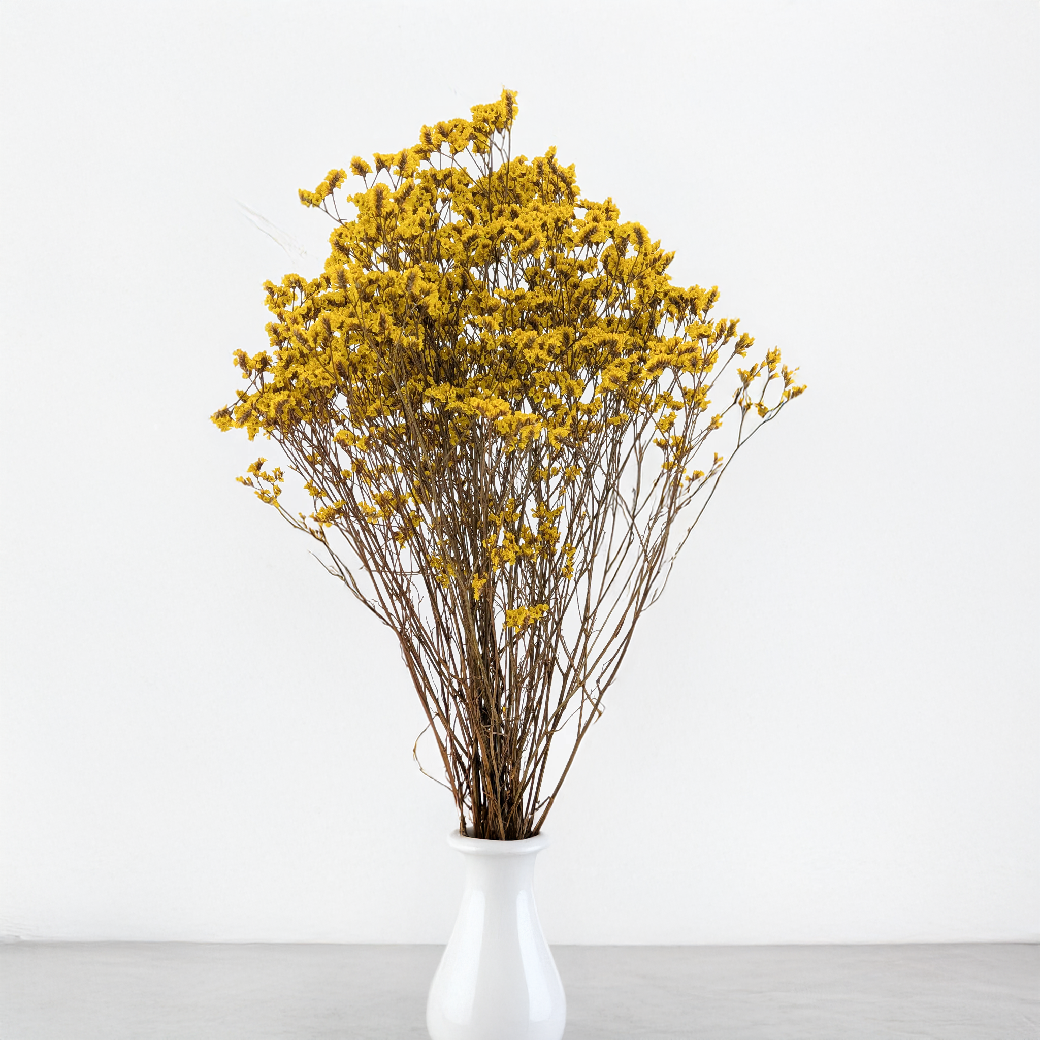 Colourful preserved Limonium Sinense