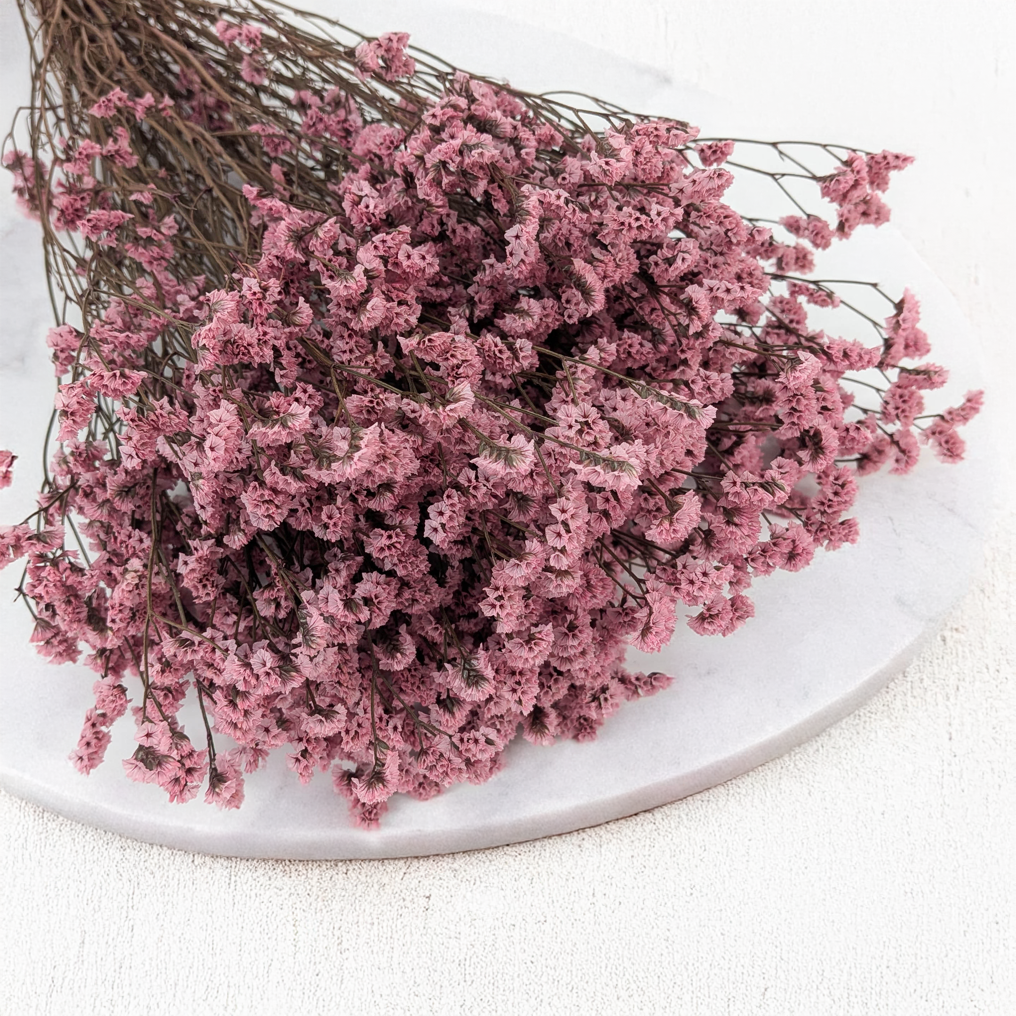 Preserved Limonium Sinense