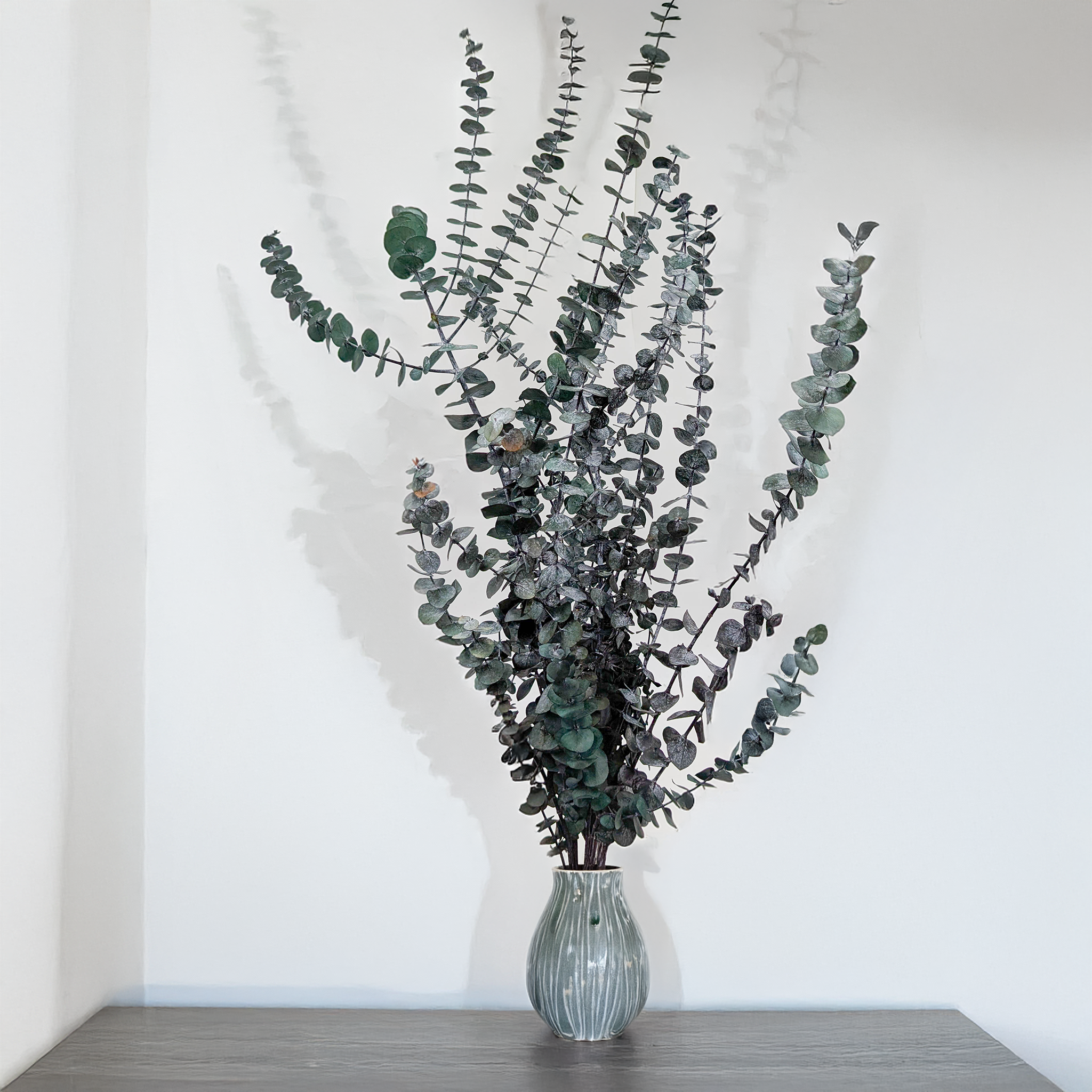 Eucalyptus Baby Blue natural