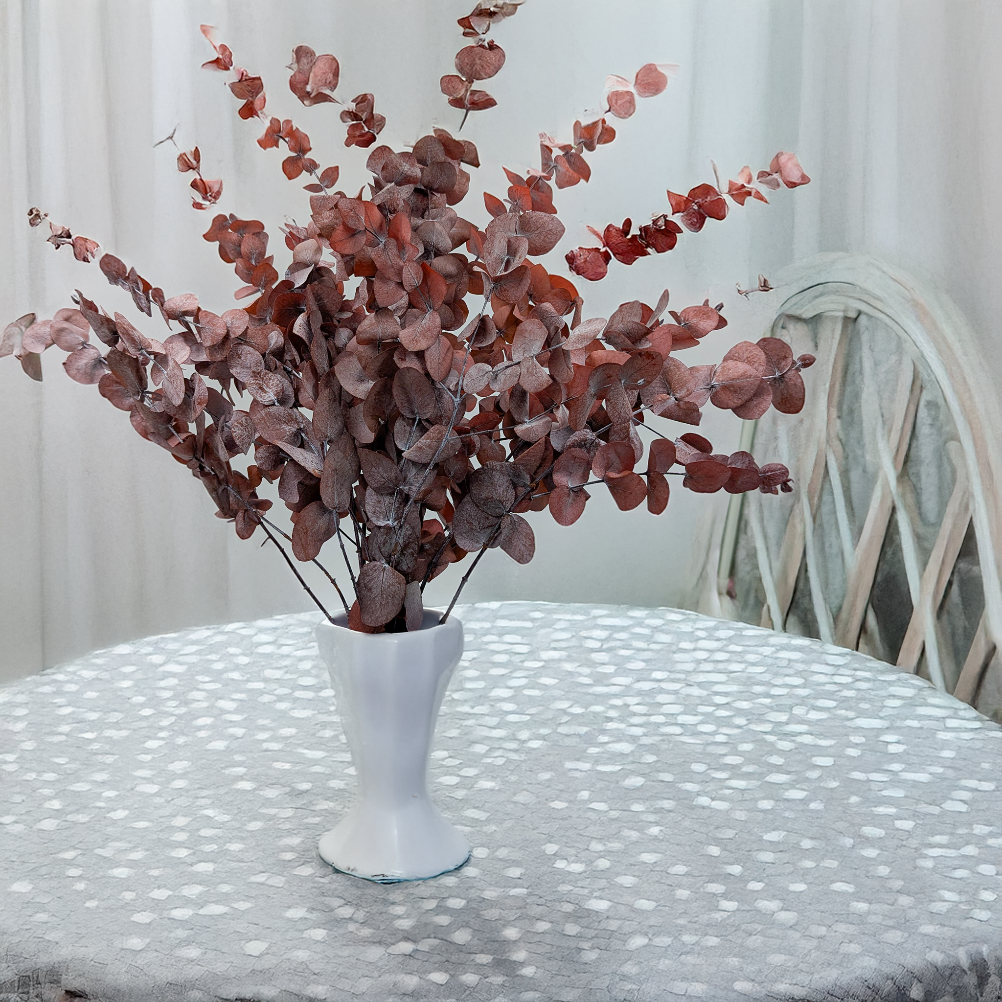 Eucalyptus Cinerea red