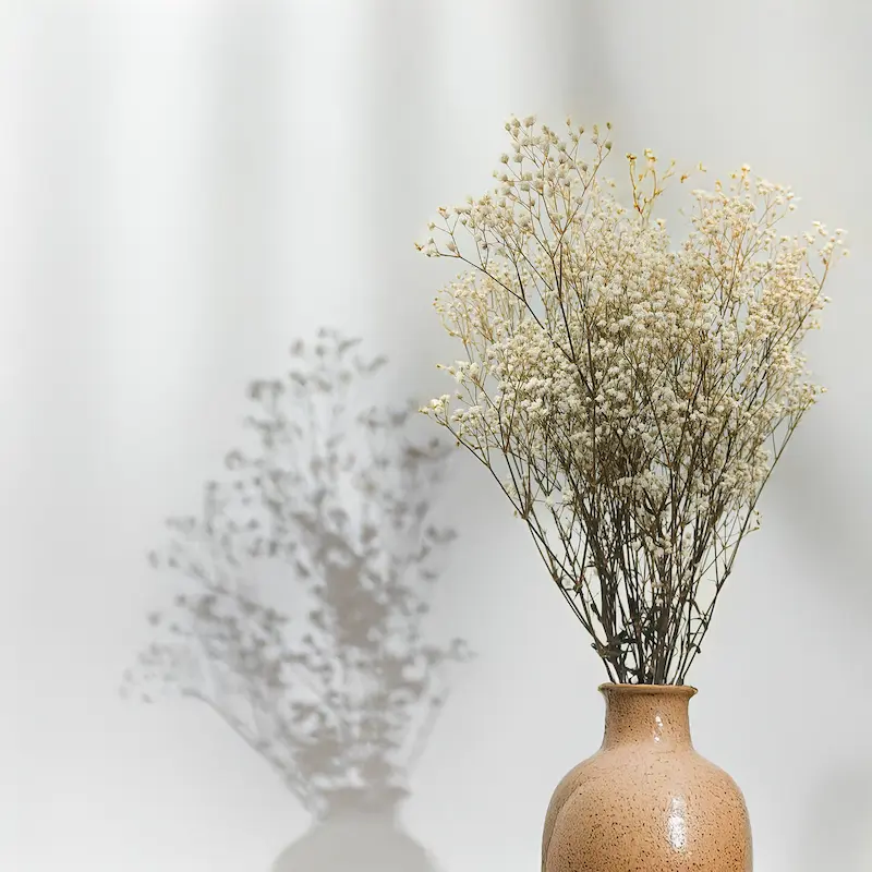 Natural baby's breath