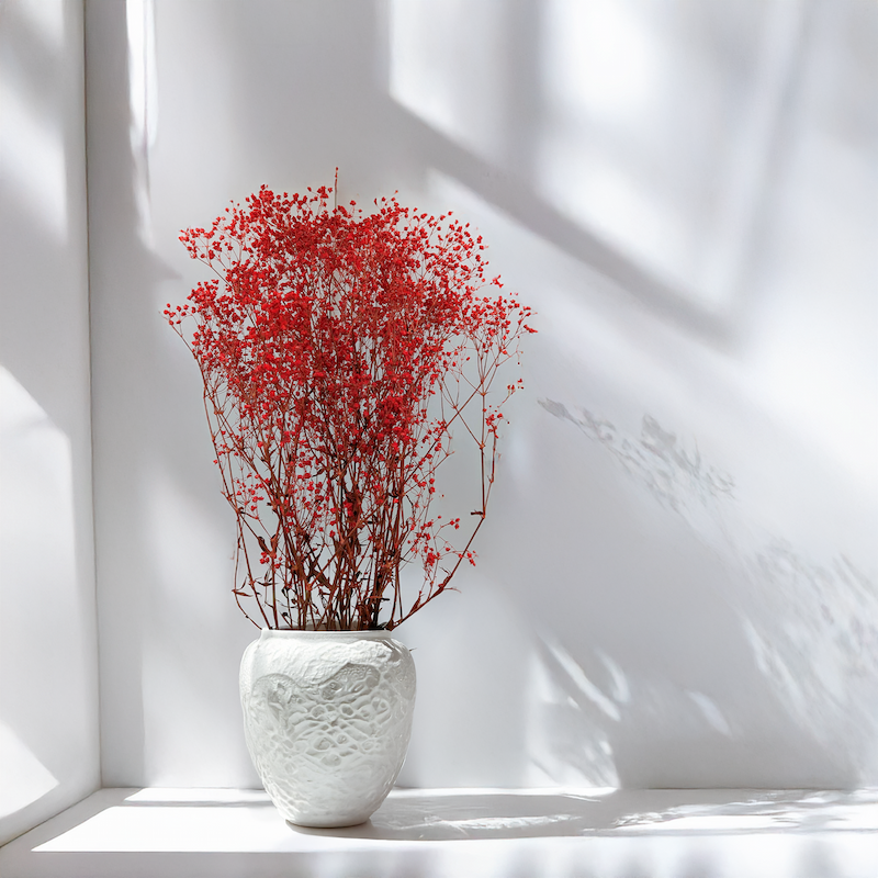 Red baby's breath