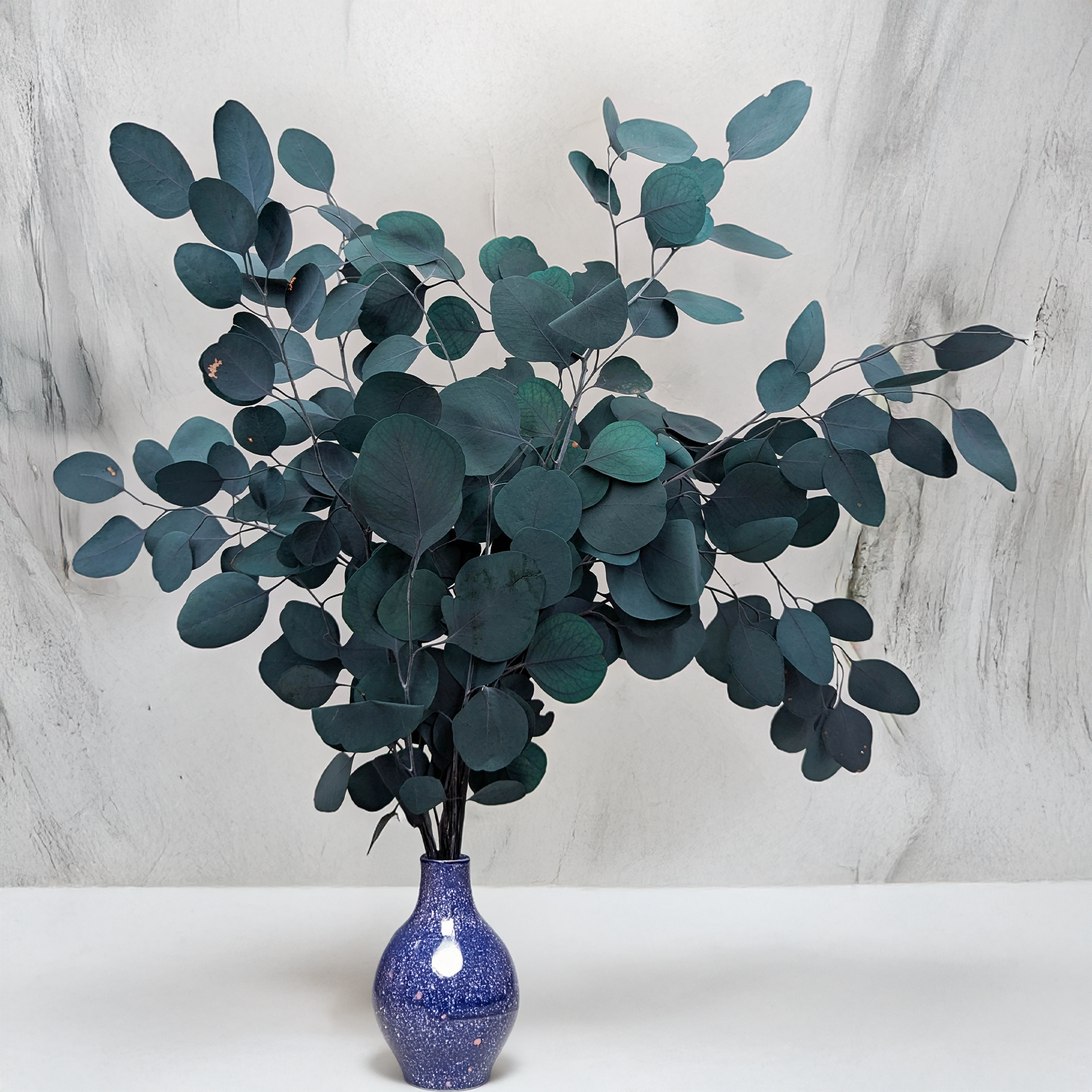 Eucalyptus Populus green