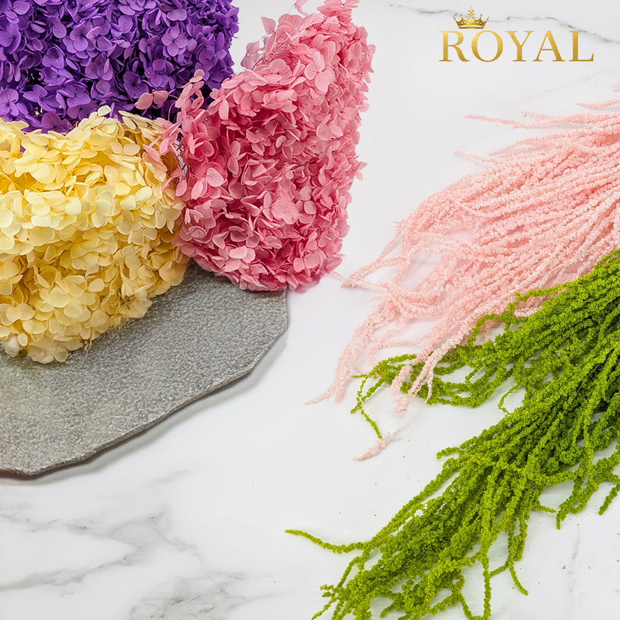 Royal by Enchanted — magnificent dried flowers