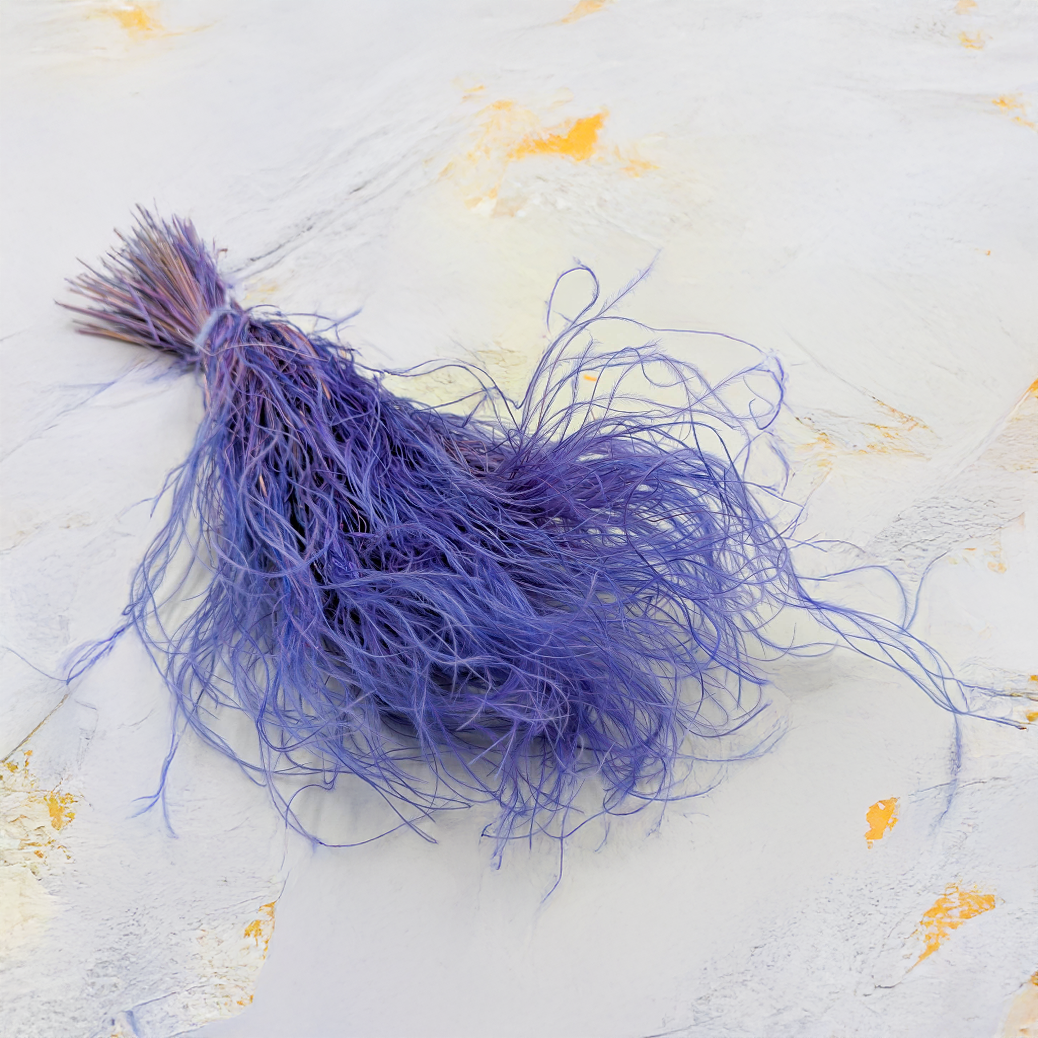 Stipa lavender
