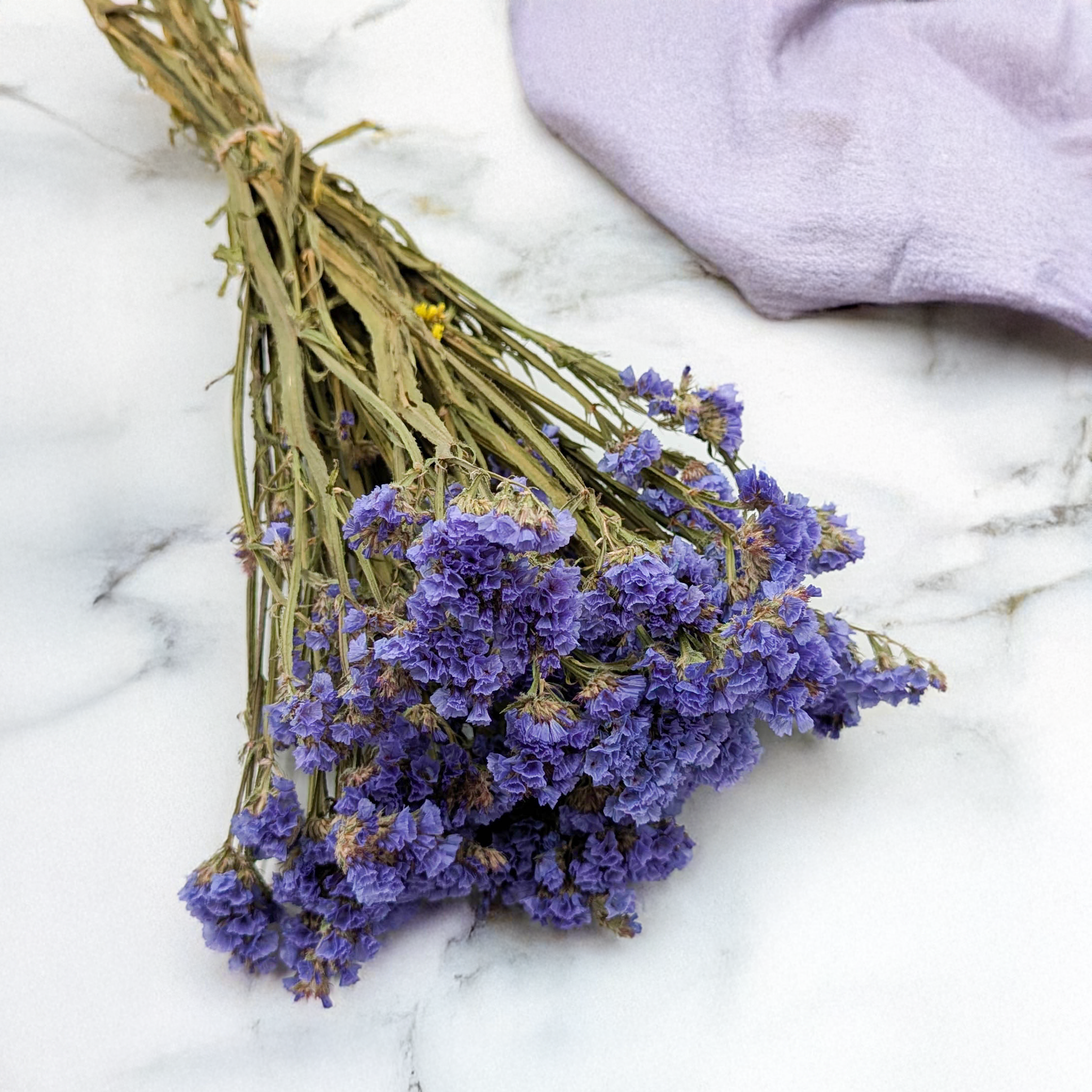 Blue dried statice