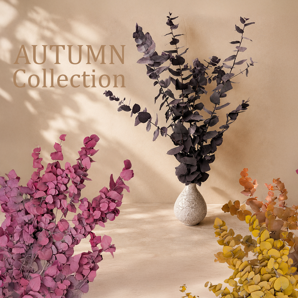 Autumn Collection of Preserved Plants