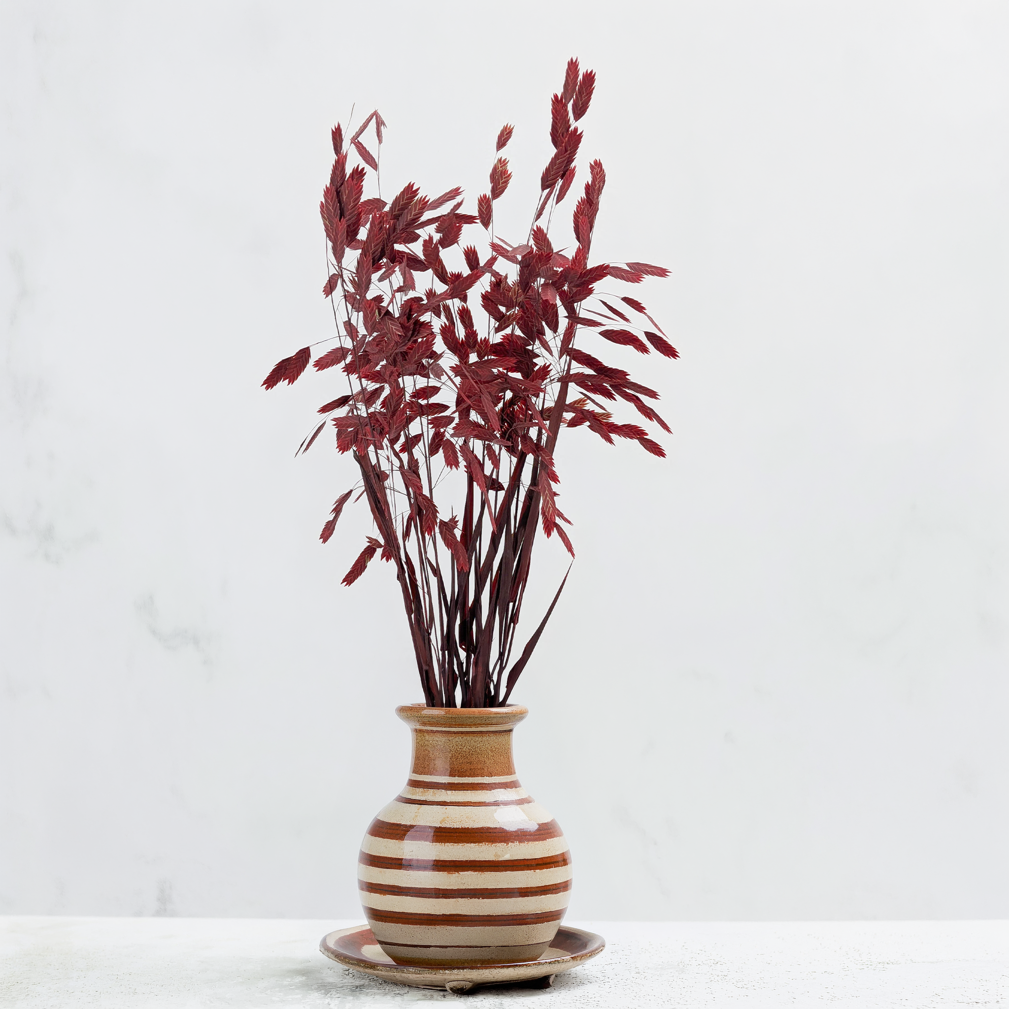 Red dried and dyed Chasmanthium latifolium