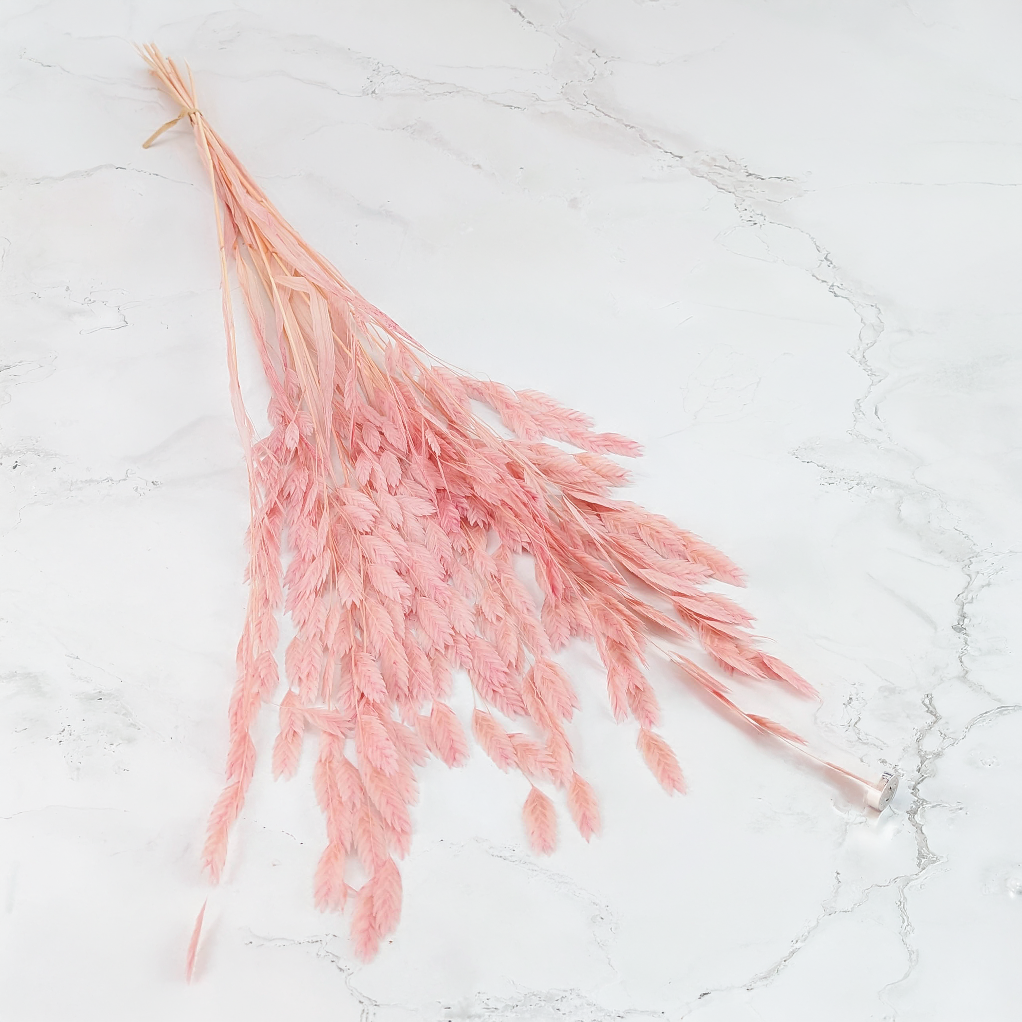 Light pink dried Chasmanthium latifolium