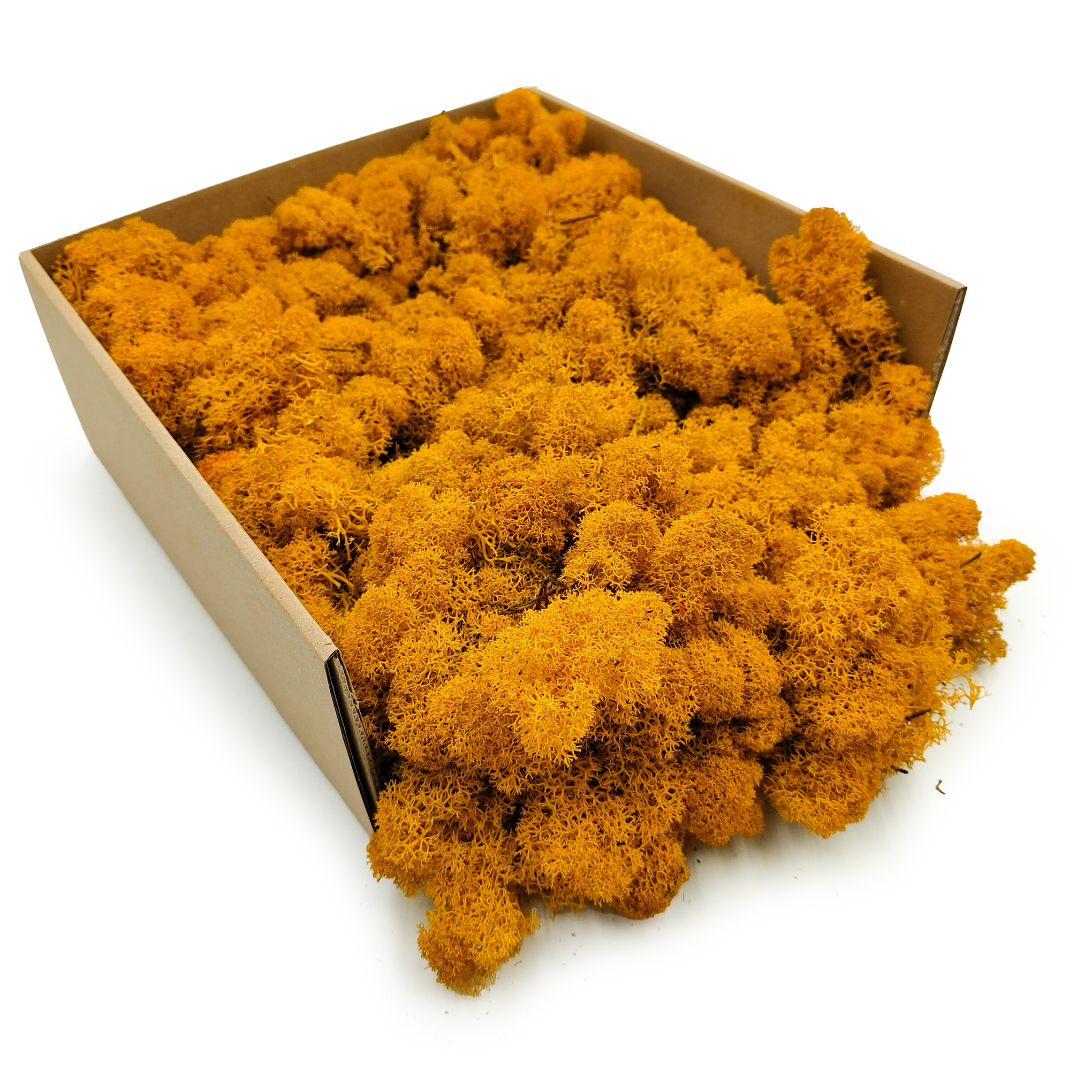 Reindeer Moss – Finnish – Purified – Dark Yellow – 250g NET