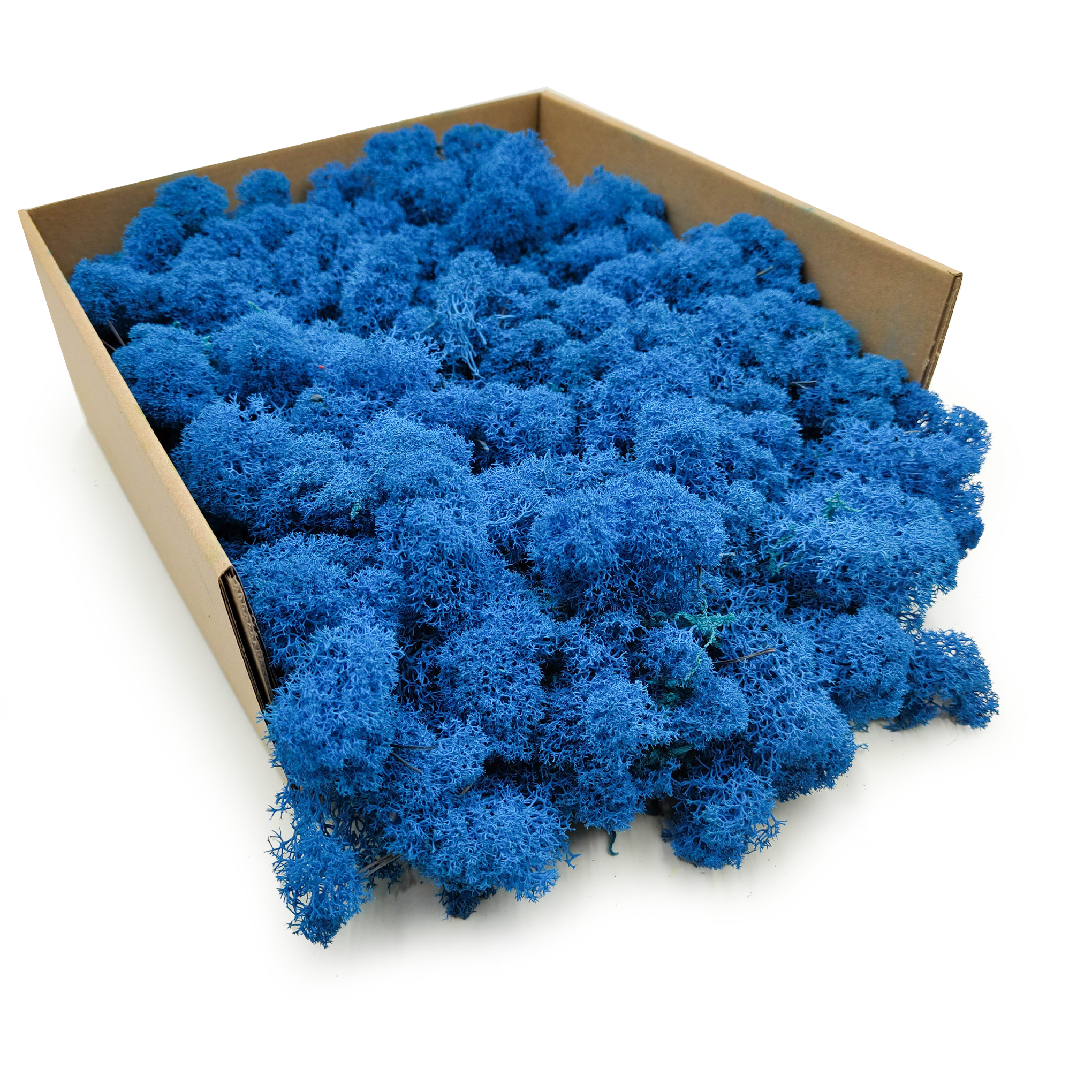 Reindeer Moss – Finnish – Purified – Blue – 250g NET