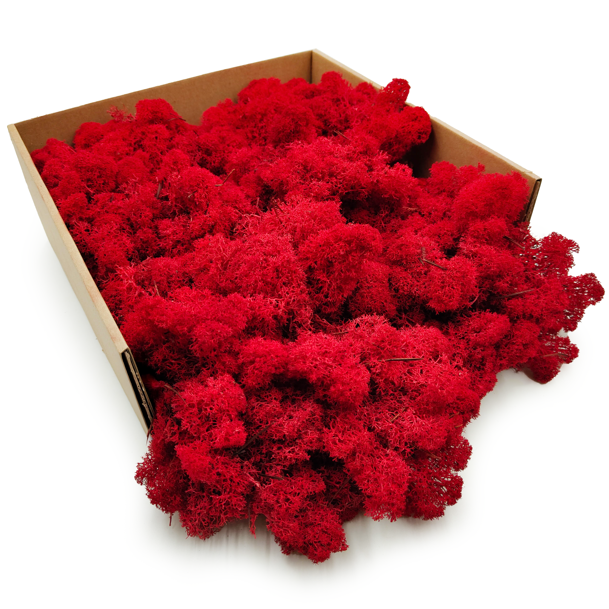 Reindeer Moss – Finnish – Purified – Red – 250g NET