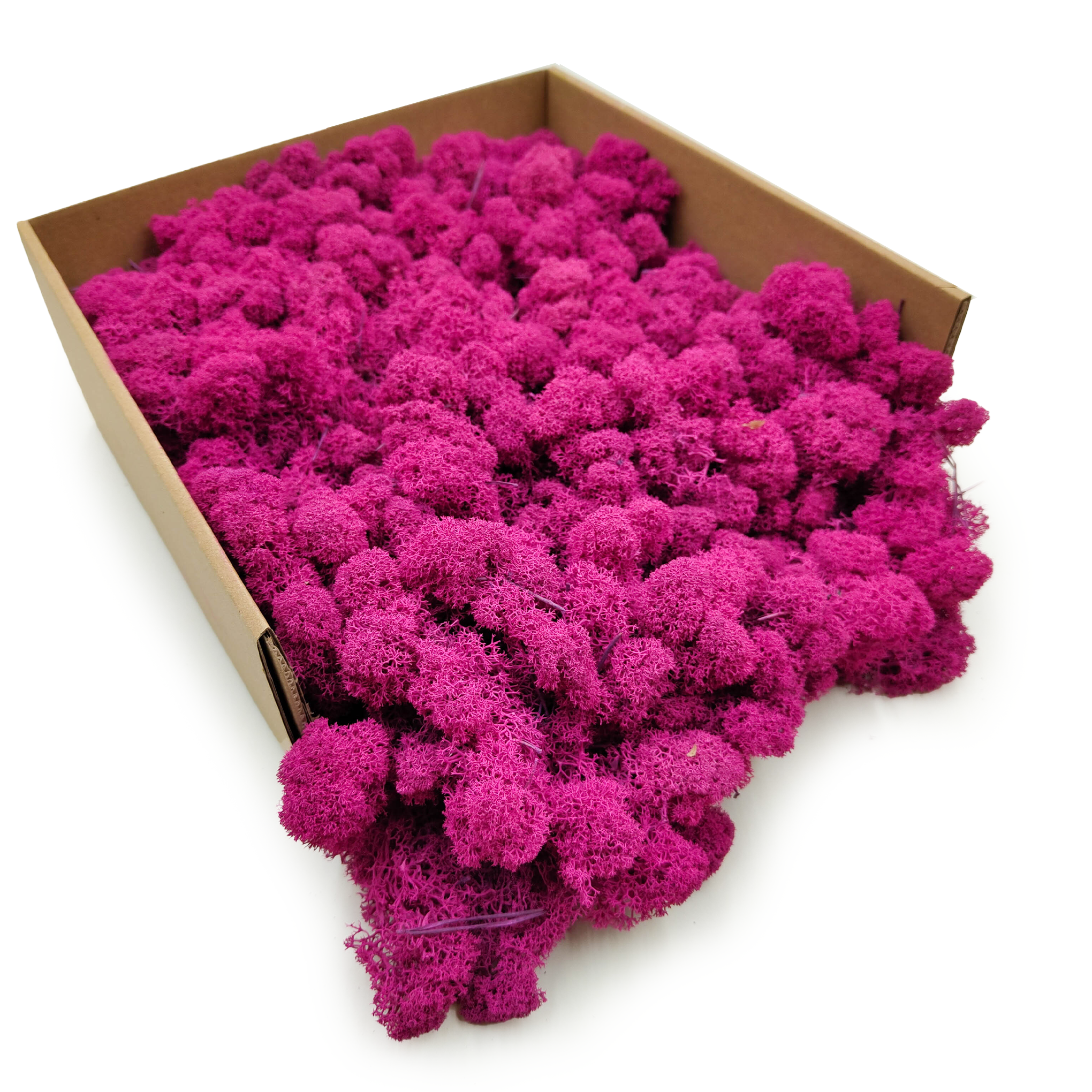 Reindeer Moss - Purified - Finnish - Fuchsia 250g NET