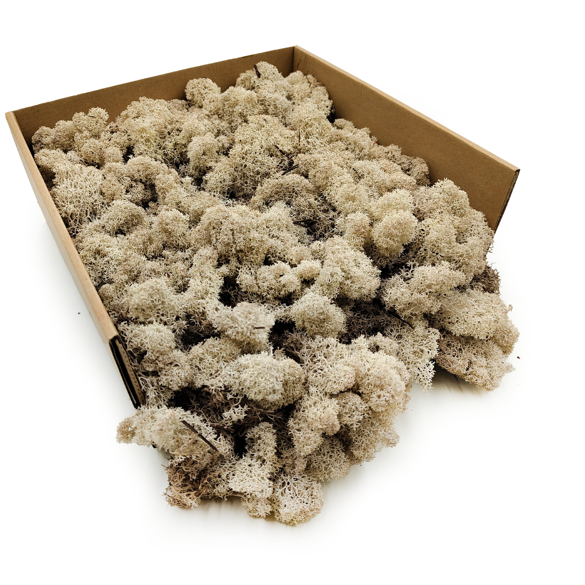 Reindeer Moss - Purified - Finnish - White 500g NET