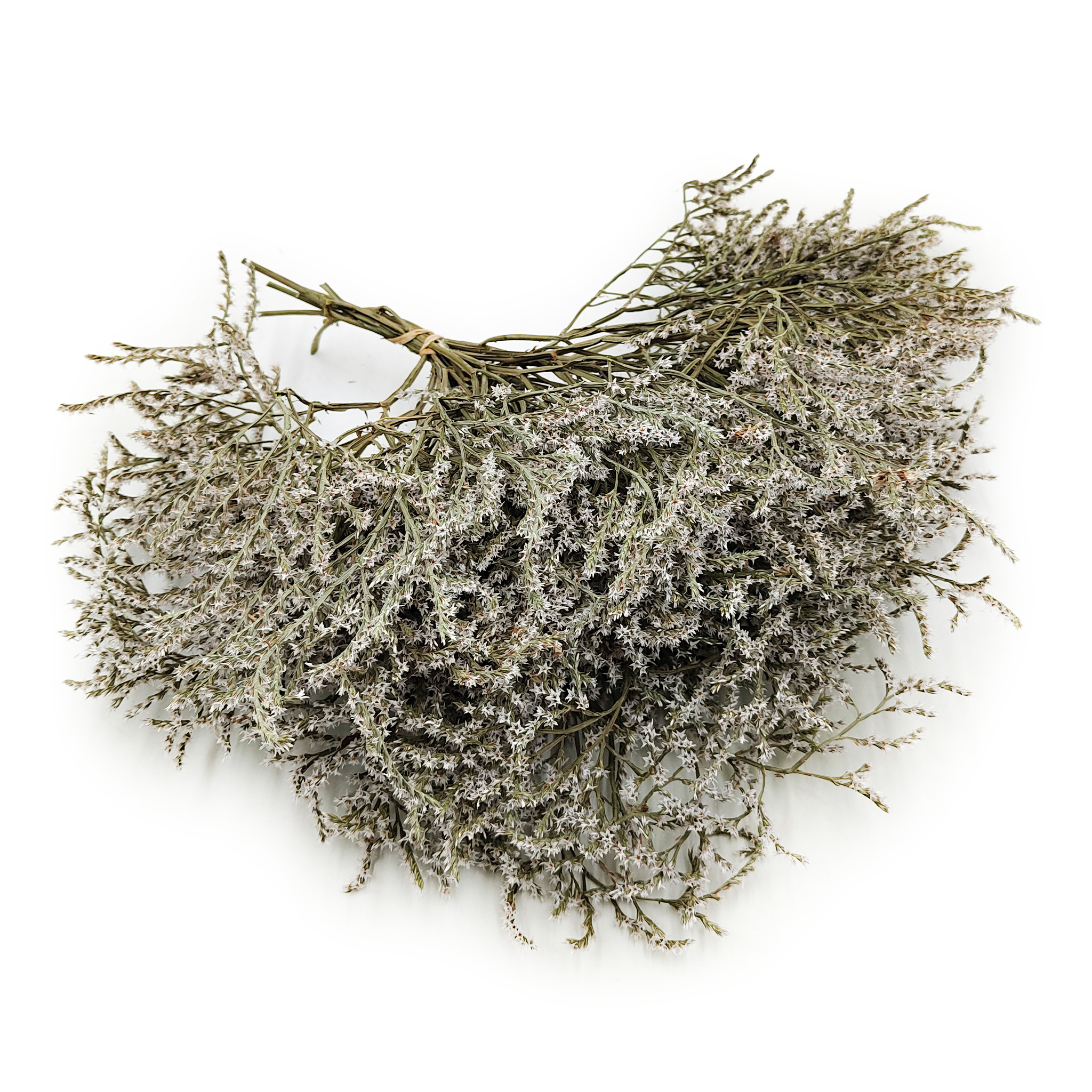 Dried Tatarian Statice – Limonium Tataricum – White
