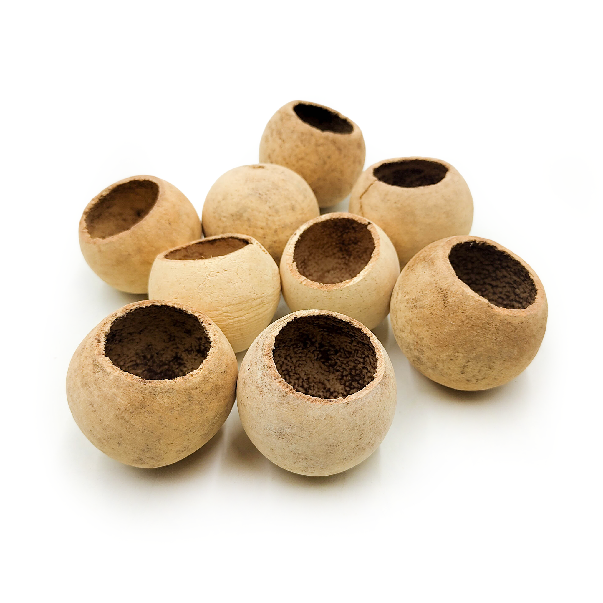 Bell Cup – Natural – Large – Pack of 10 pcs