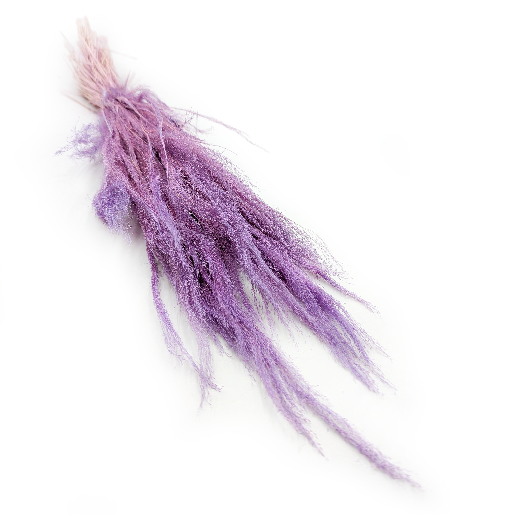 Dried Agrostis Grass – Lilac