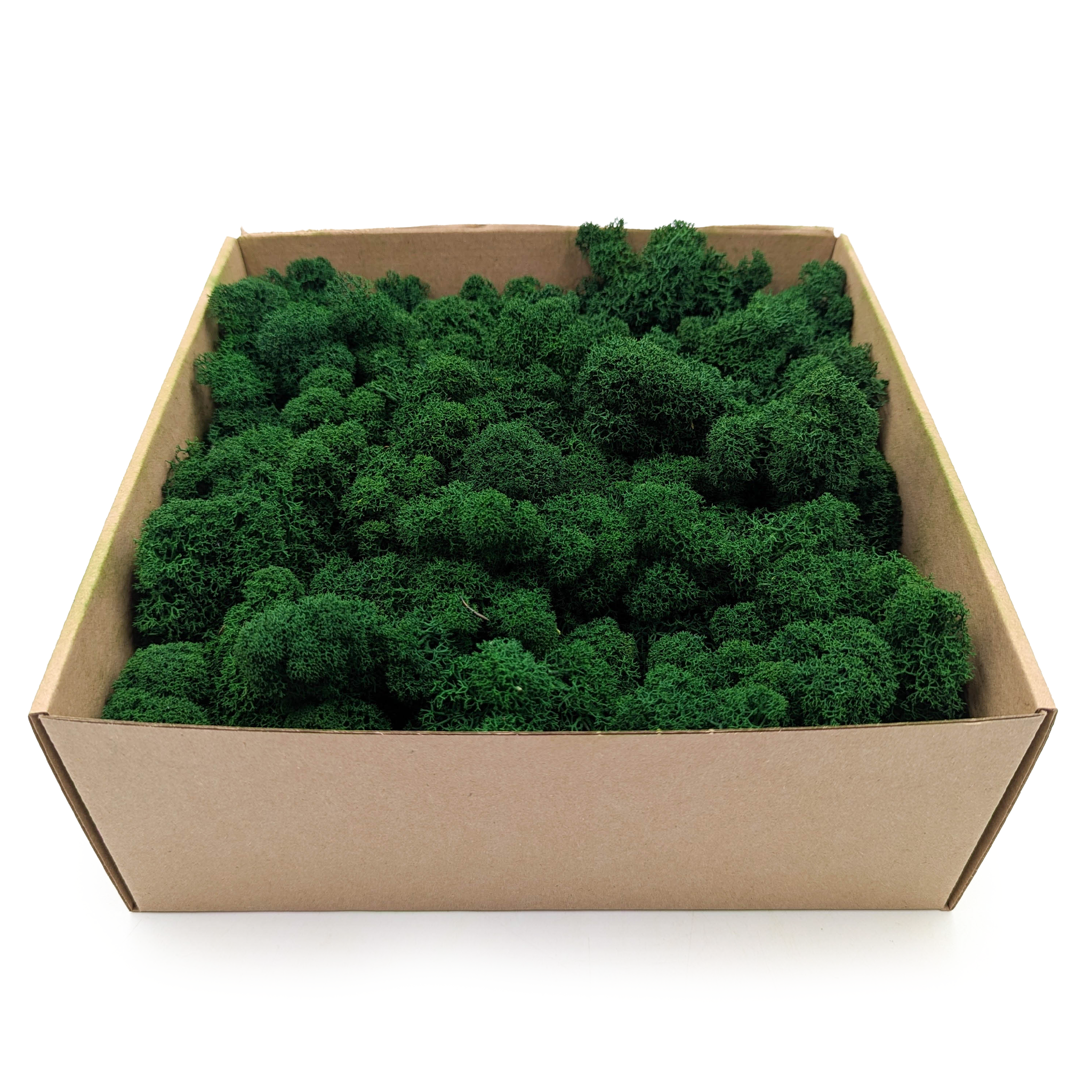 Reindeer Moss - Purified - Alpine - Forest Green 2kg NET