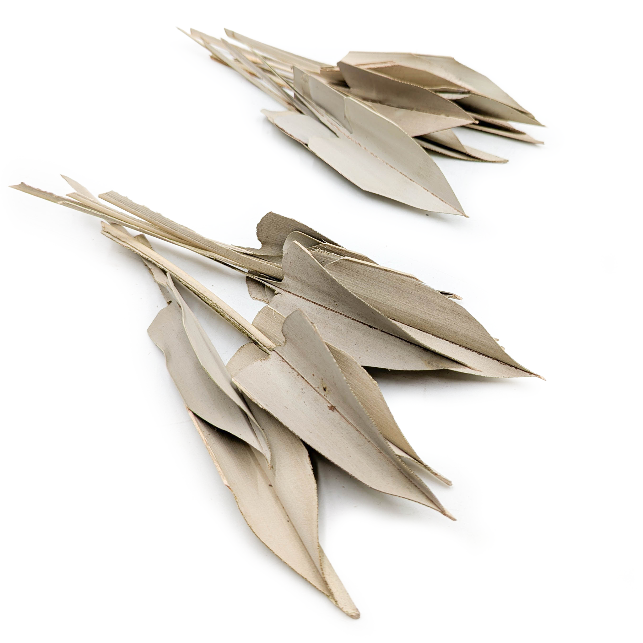 Palm Arrow Leaf – Palm Spear - Natural - 20pcs