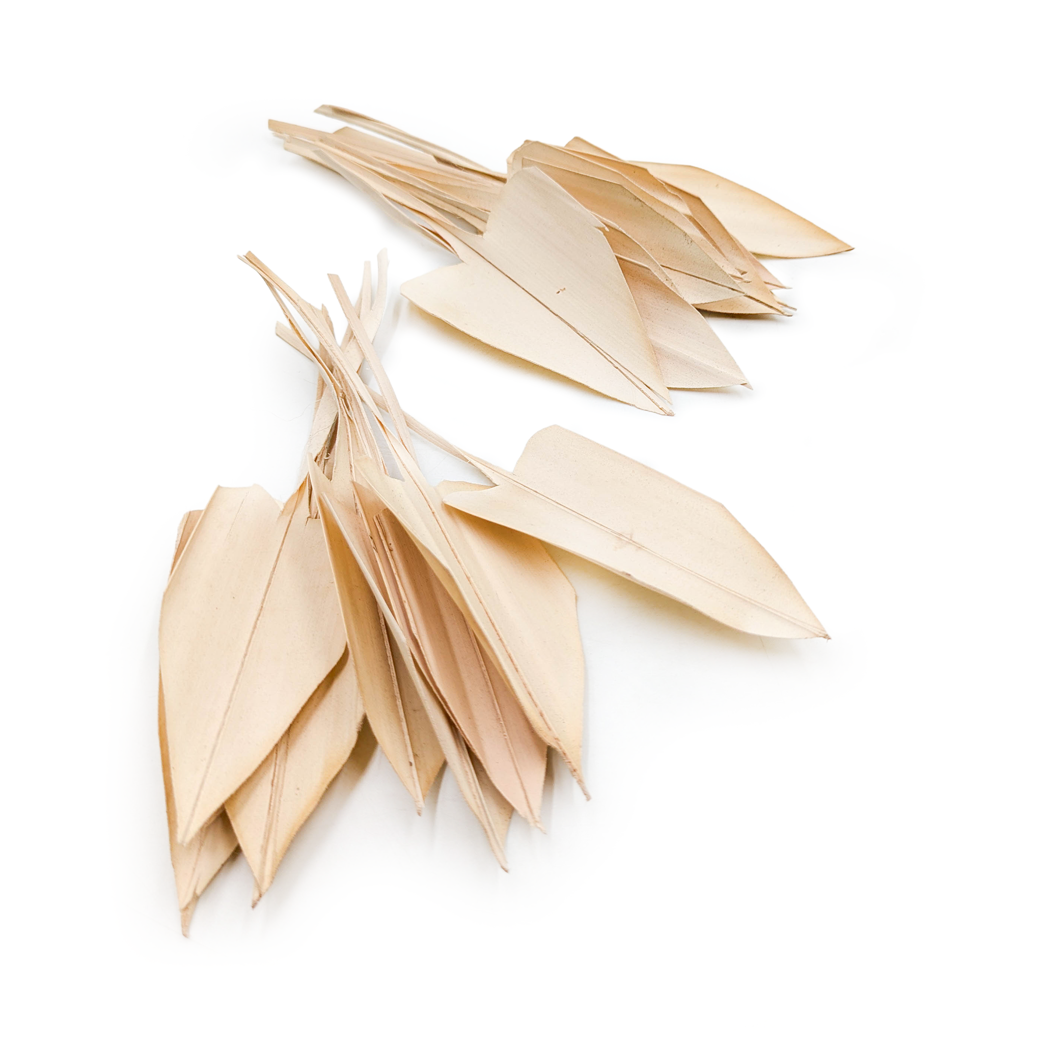 Palm Arrow Leaf – Palm Spear – Bleached - 20pcs