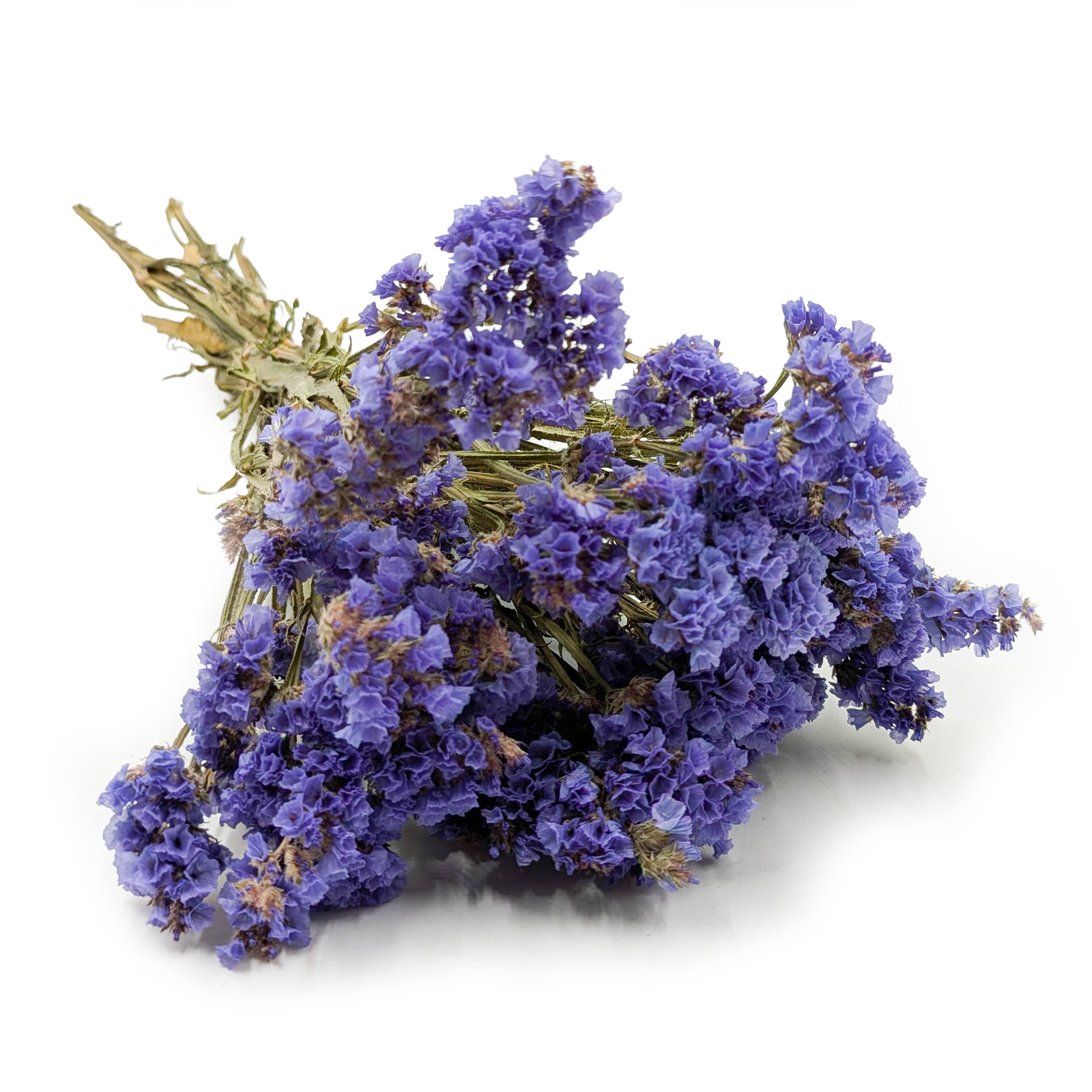 Statice Limonium sinuatum – Blue