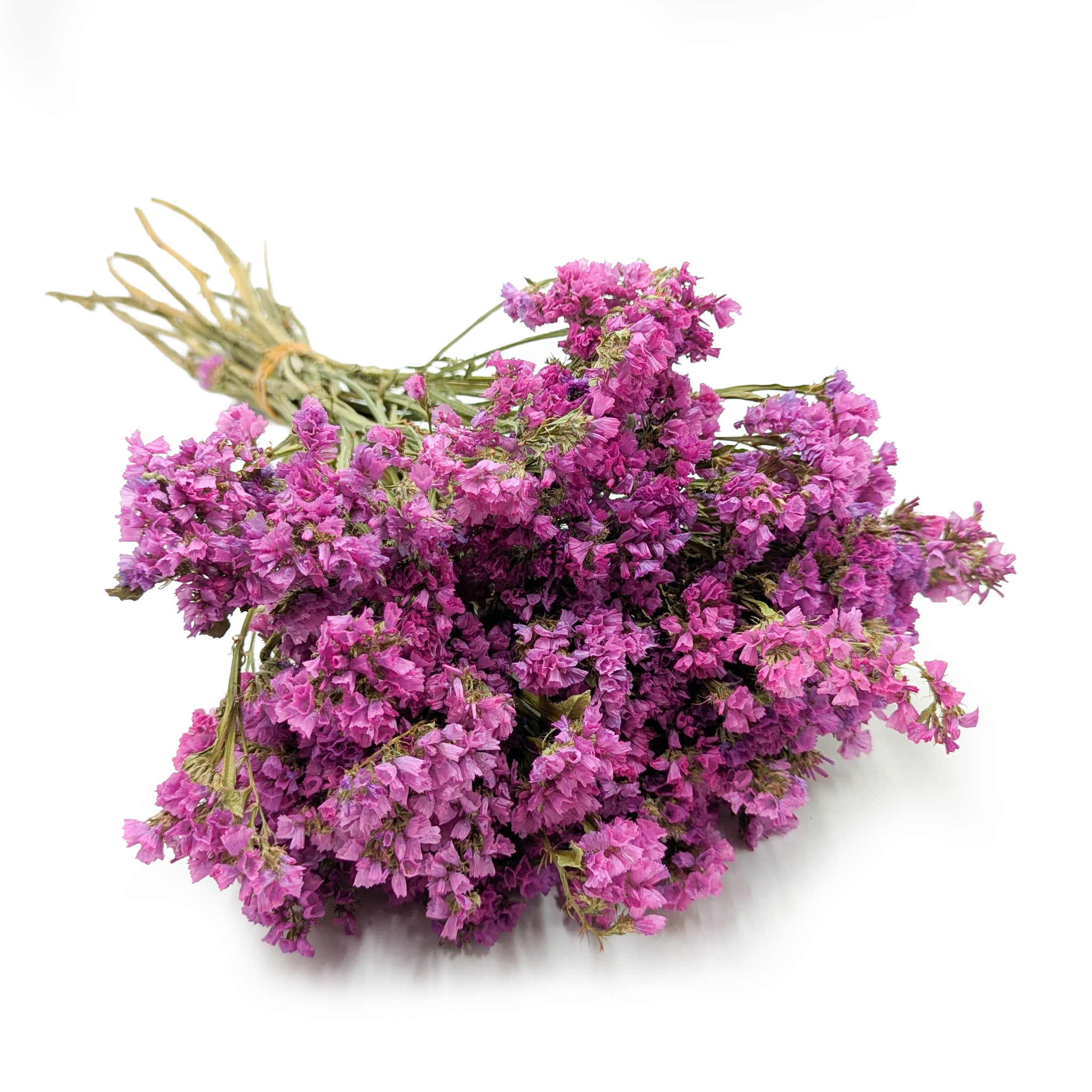 Statice Limonium sinuatum - Pink