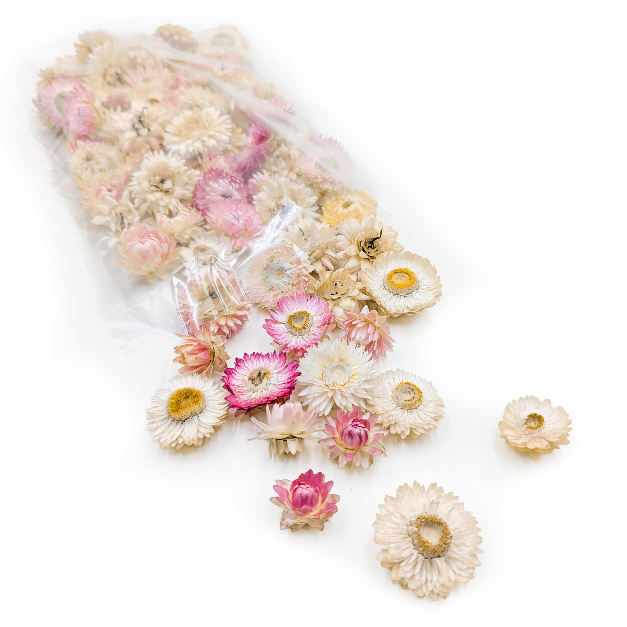 Dried Helichrysum – Flower Heads – (Helichrysum) – Light Pink