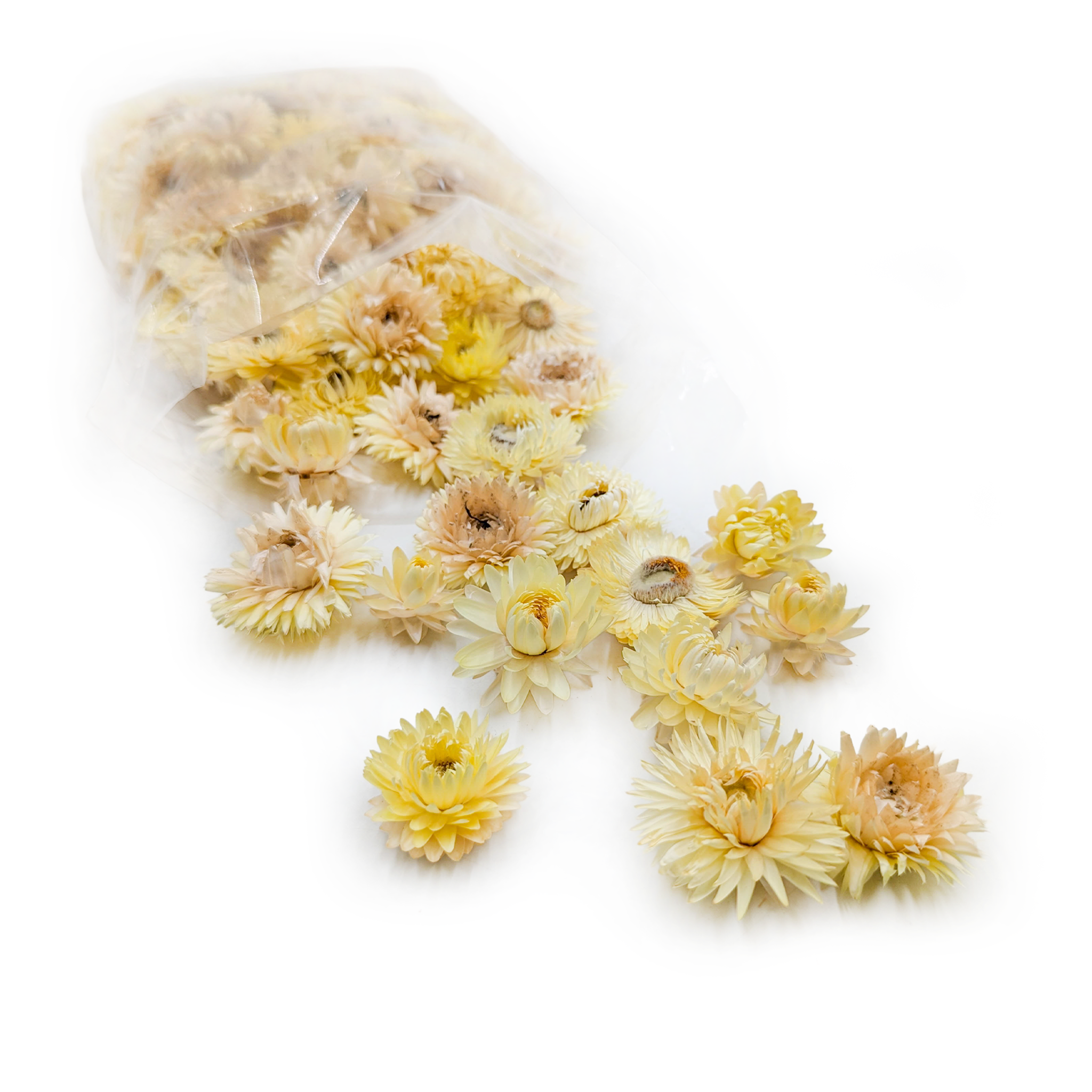 Dried Helichrysum – Flower Heads – (Helichrysum) – Lemon Yellow
