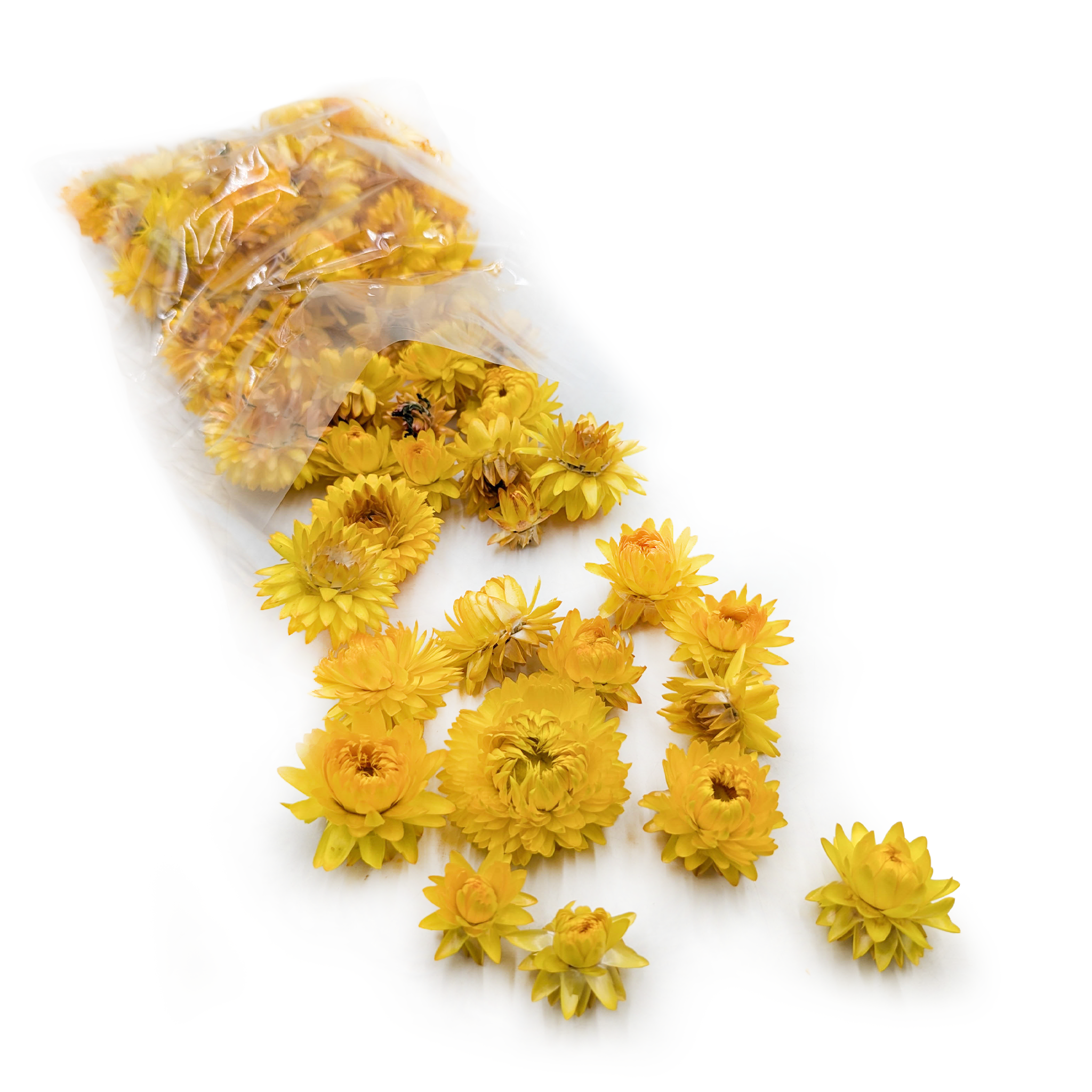 Dried Helichrysum – Heads – (Helichrysum) – Yellow