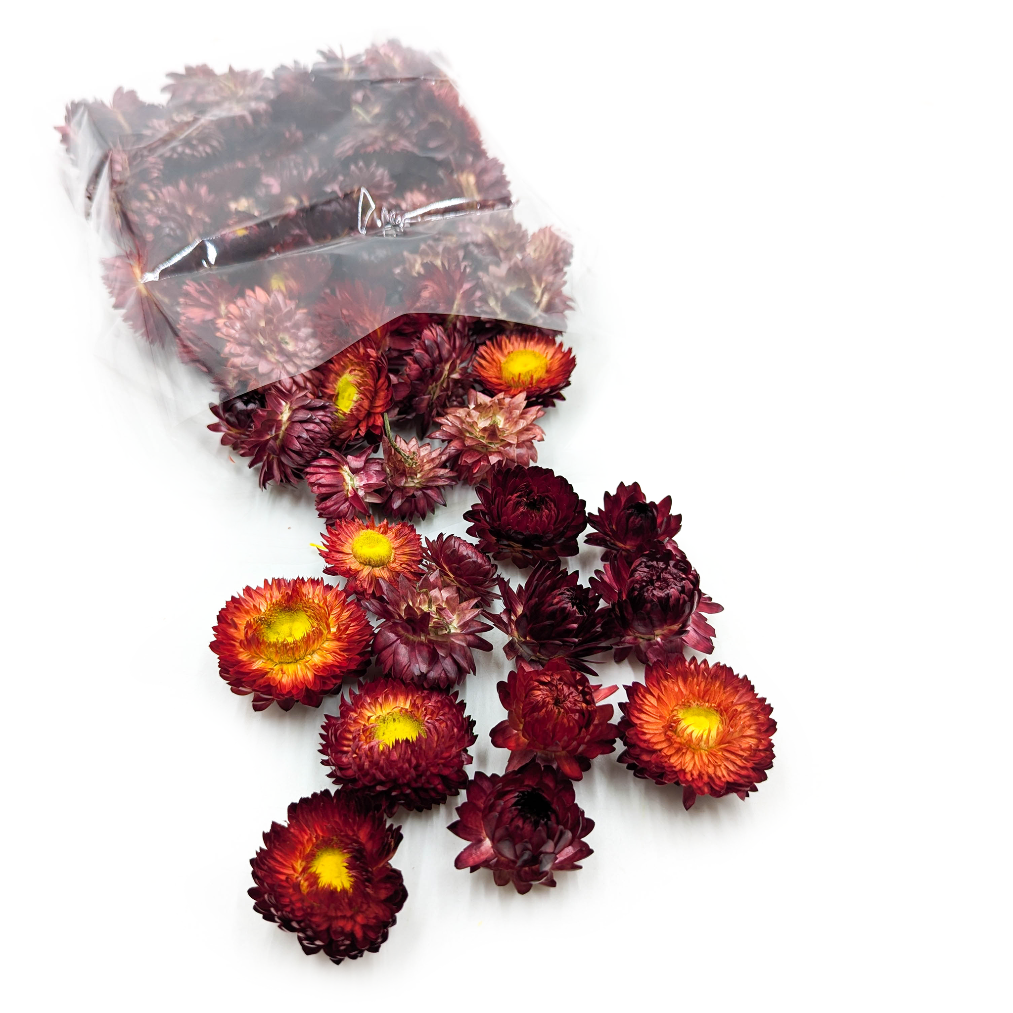 Dried Helichrysum – Flower Heads – (Helichrysum) – Scarlet