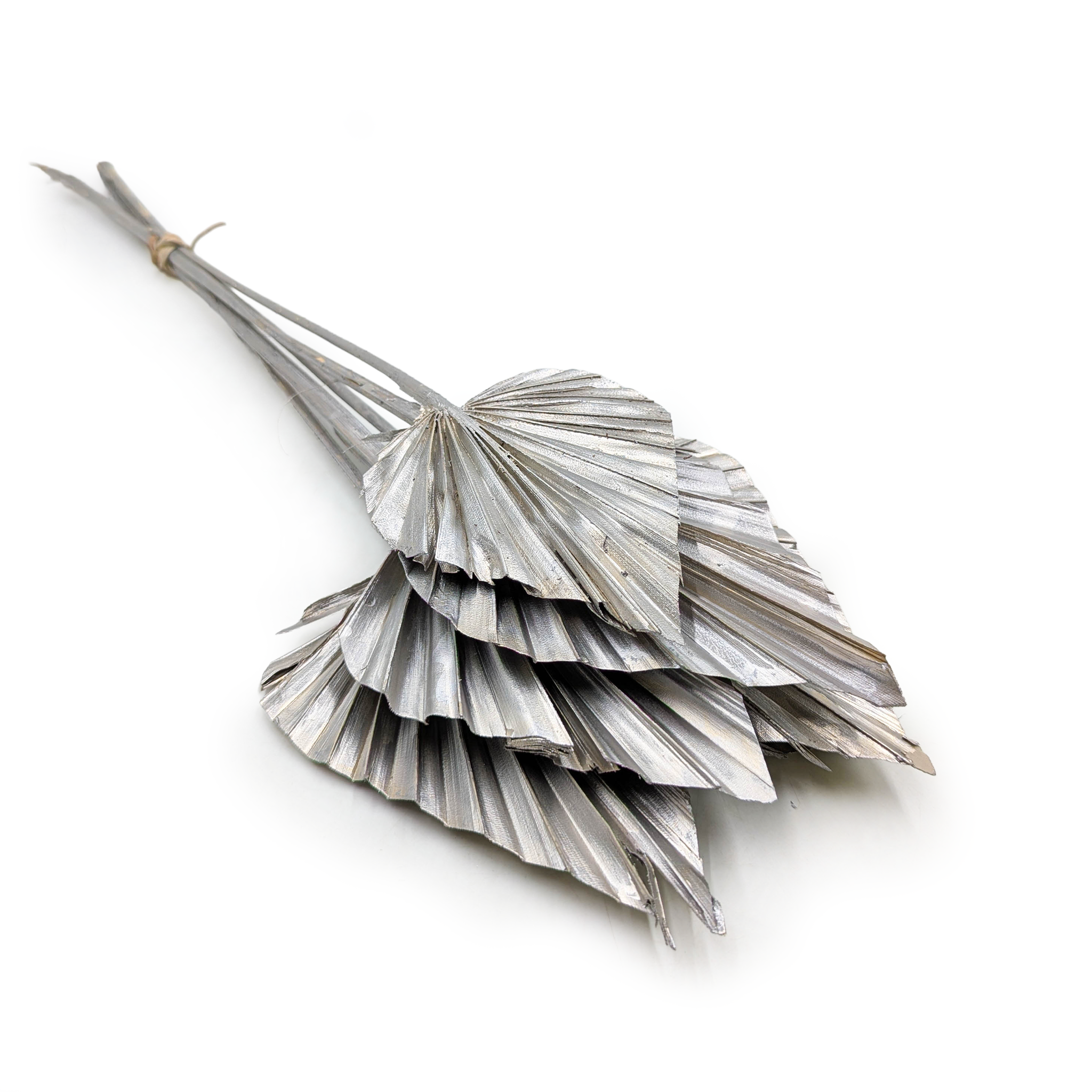 Cut Palm, Fan, Spear (Palm Spear) – Silver Platinum