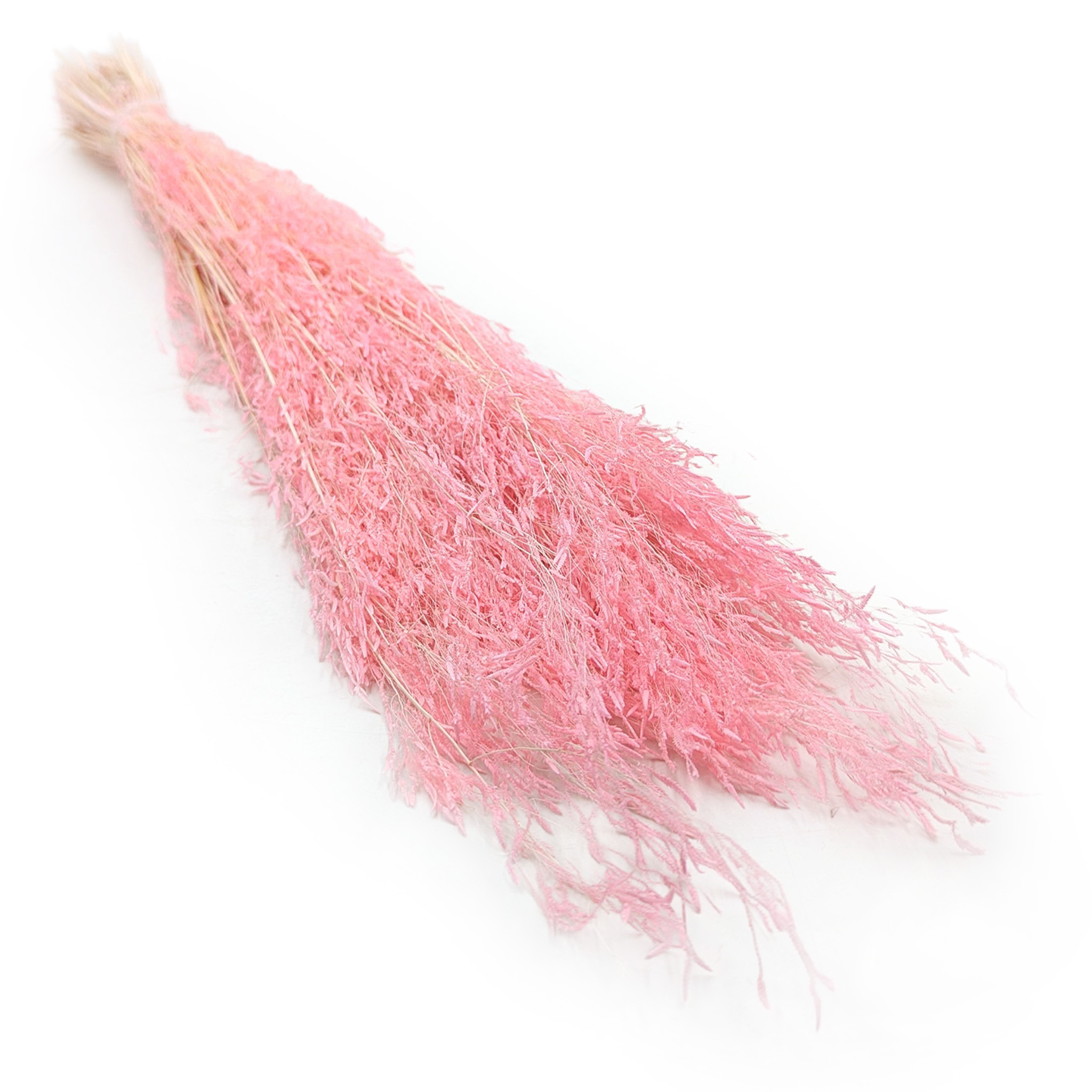 Dried Quaking Grass - (Briza Segromigno) - Pink 