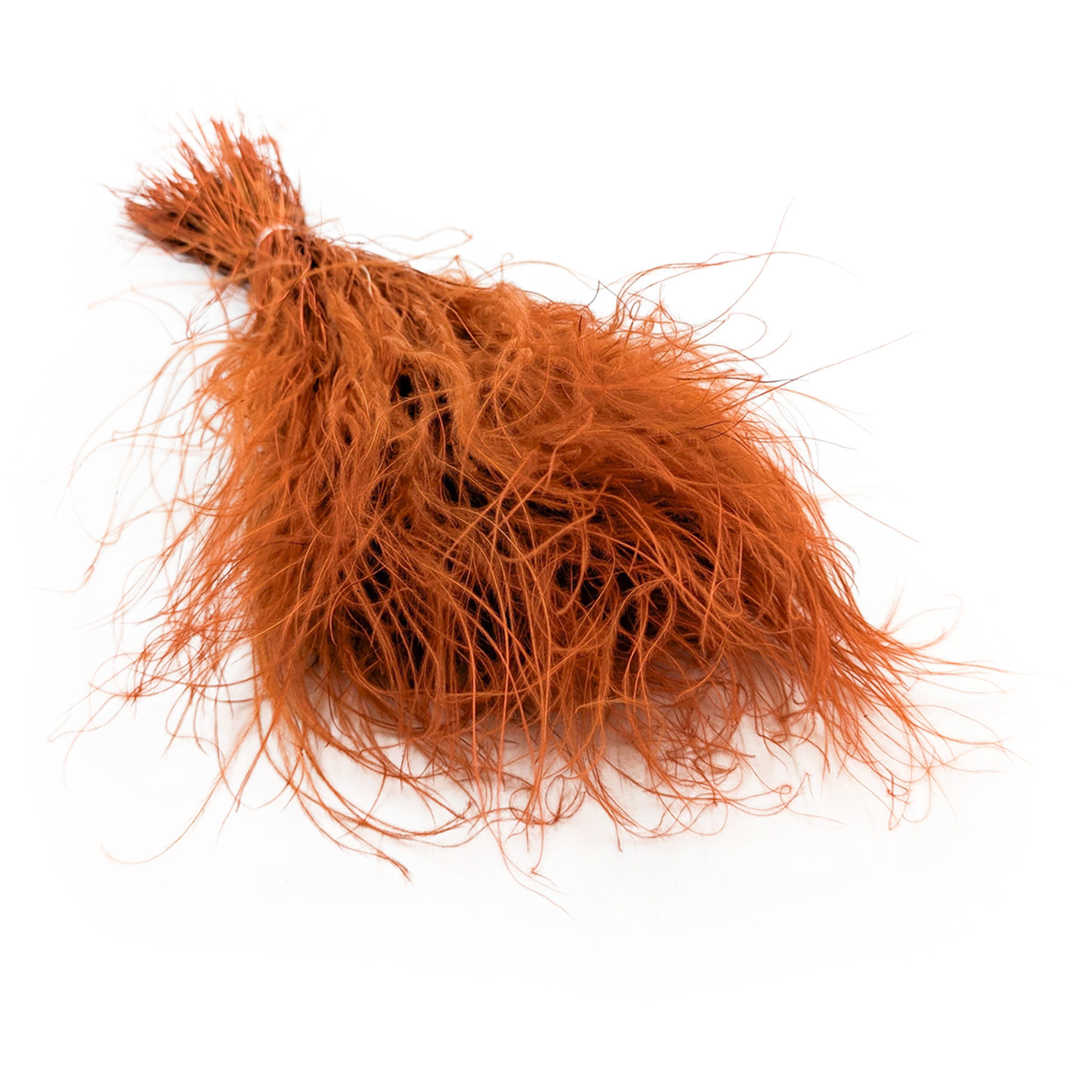 Feather Grass Dried - Stipa pennata - Dark Terracotta