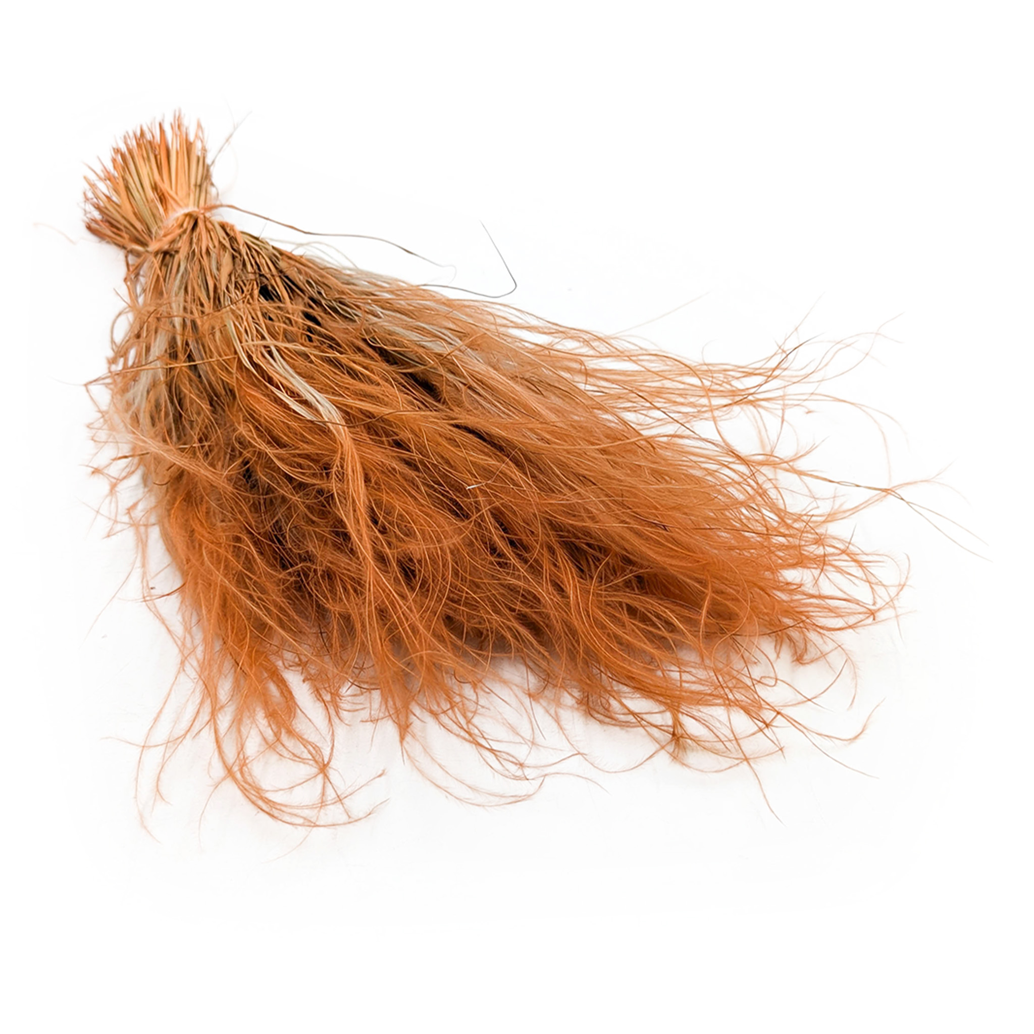 Feather Grass Dried - Stipa pennata - Mustard Yellow