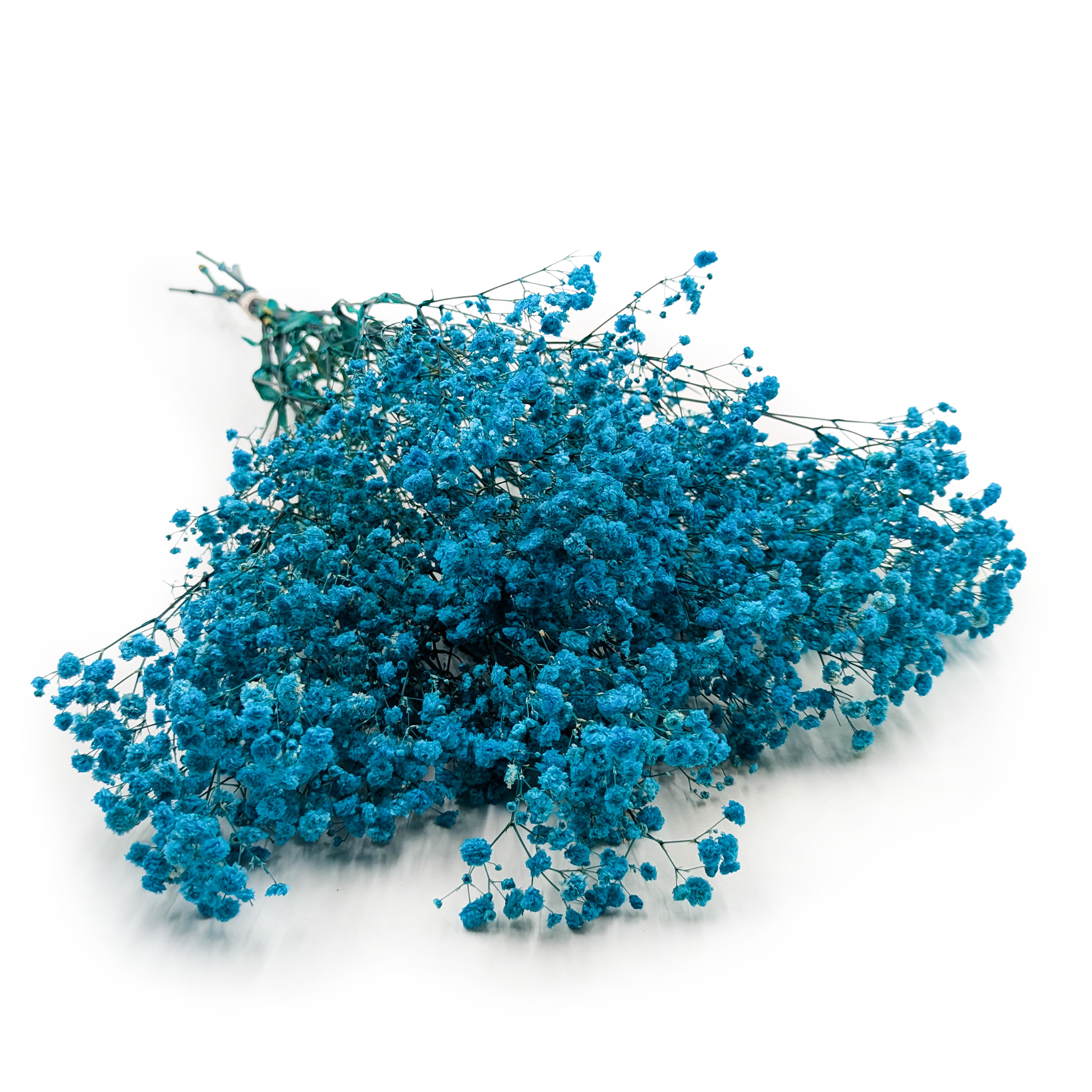 Stabilized Gypsophila - (Gypsophila) - Royal  Bouquet - Blue