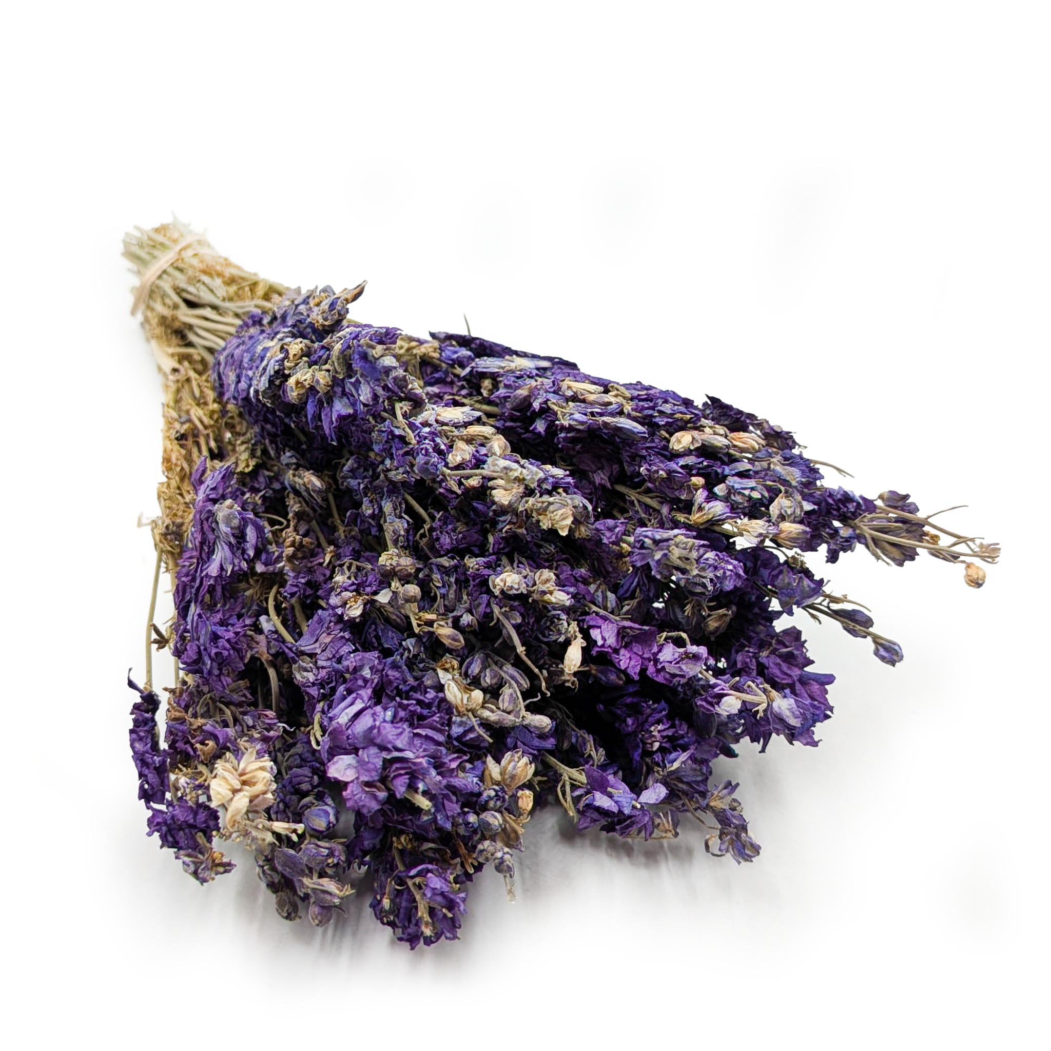 Delphinium Dried - Larkspur - Blue