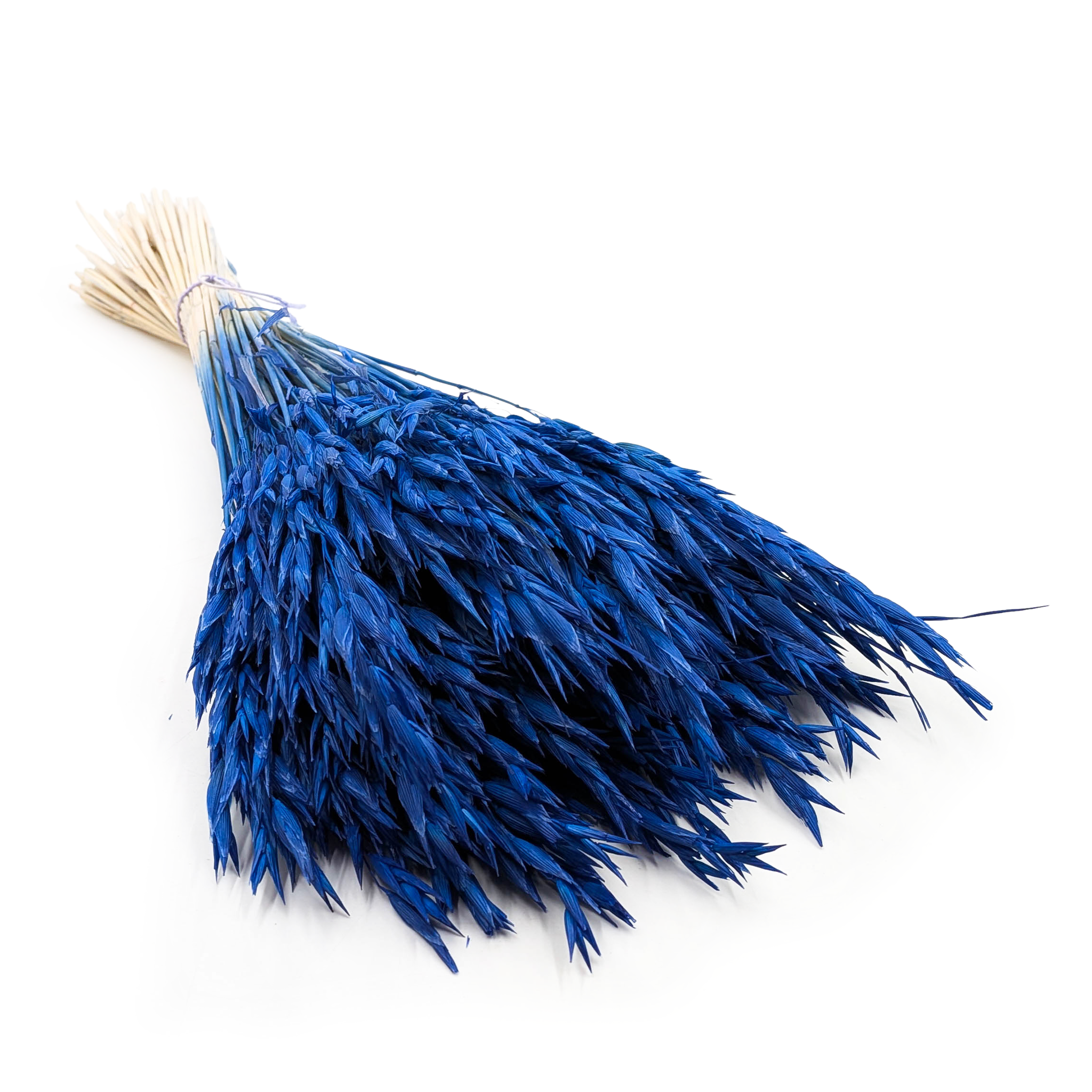Dried Oats - Navy Blue