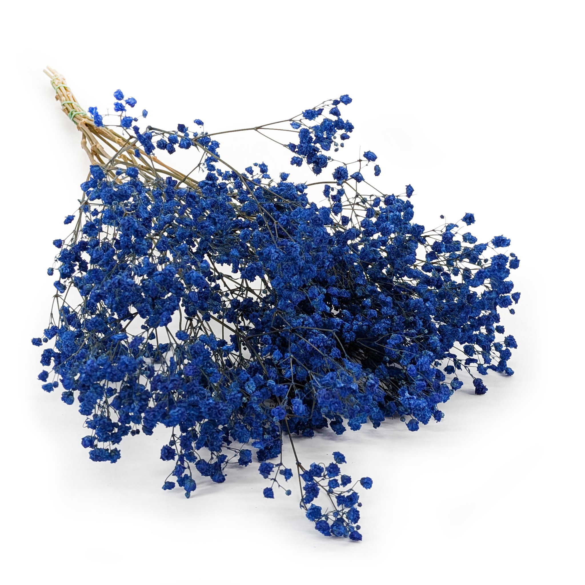 Preserved Gypsophila - Baby's Breath - Pastel Blue