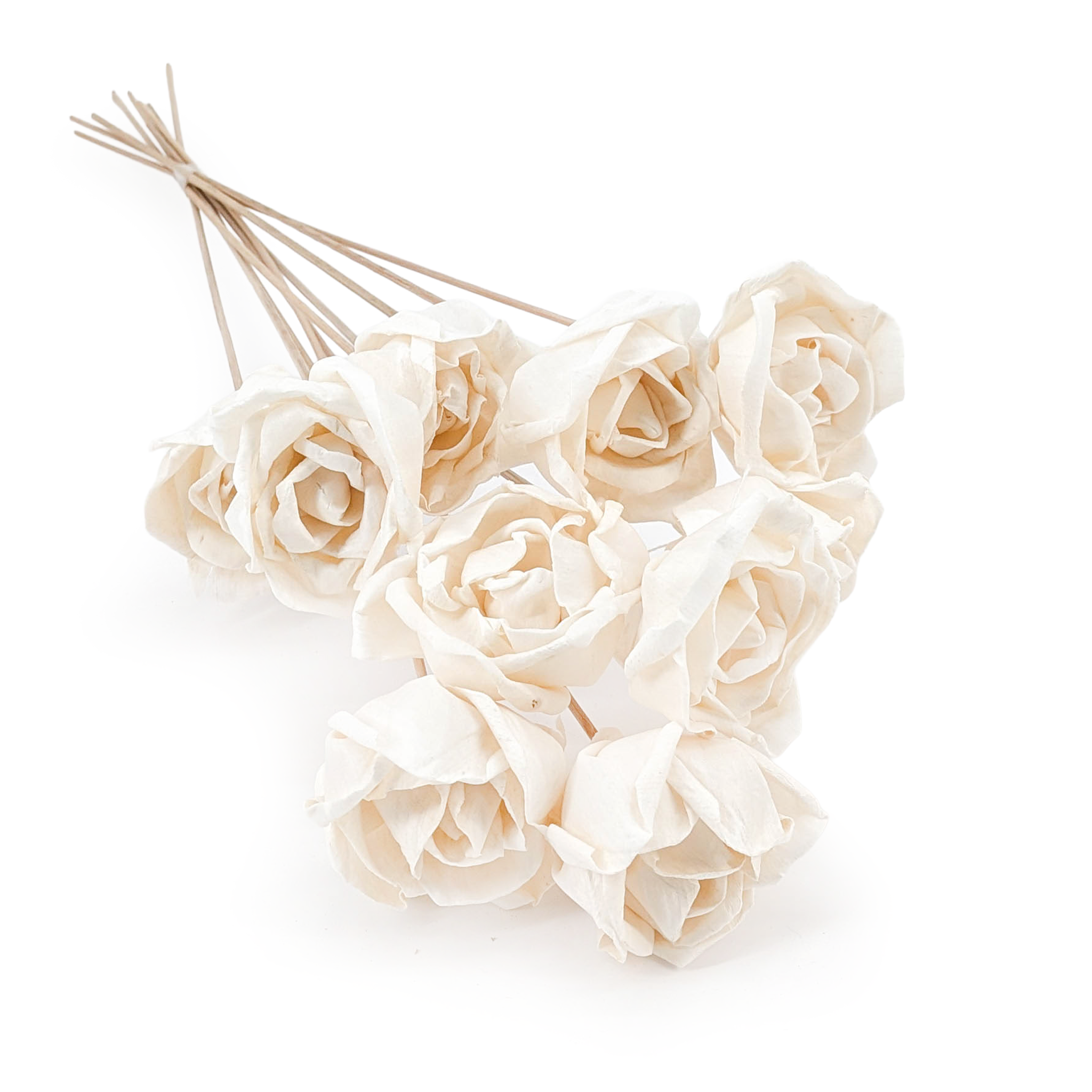 Shola Flower – (Sola Rose Special) – on Stem – 10 pcs