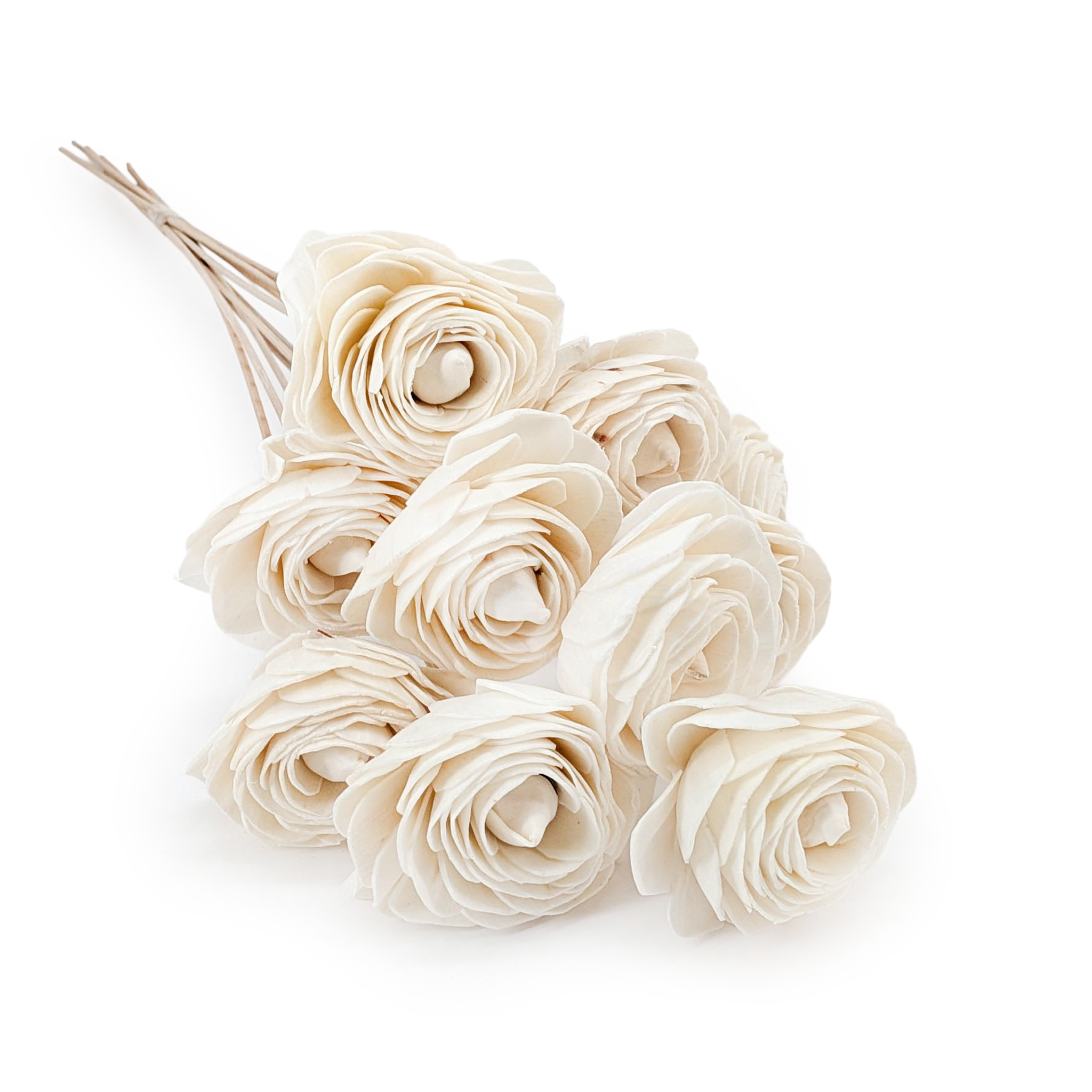Shola Flower – (Sola Beauty Rose) – on Stem – 10 pcs