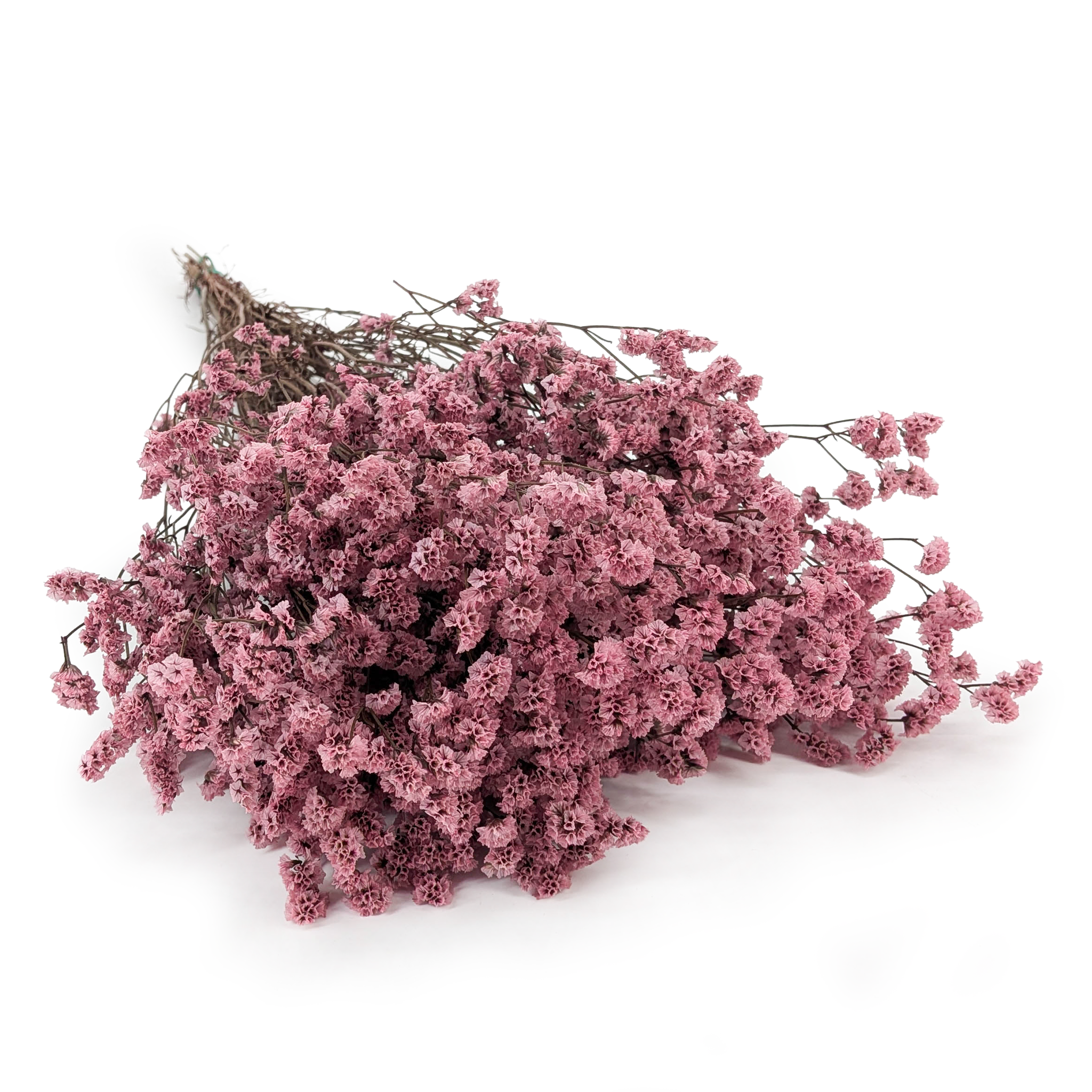 Preserved Limonium – (Limonium Sinense) – Antique Rose