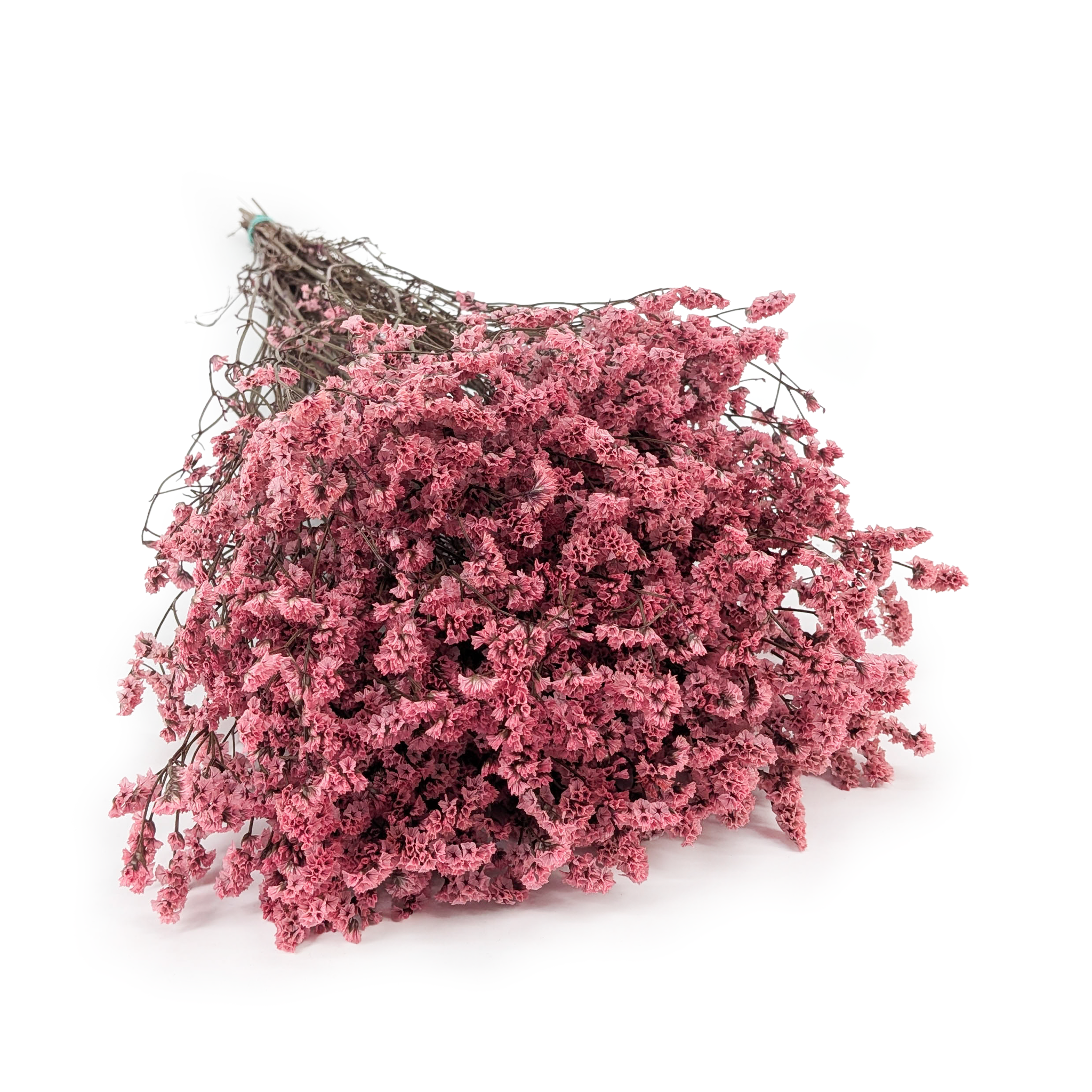 Preserved Limonium – (Limonium Sinense) – Powder Pink
