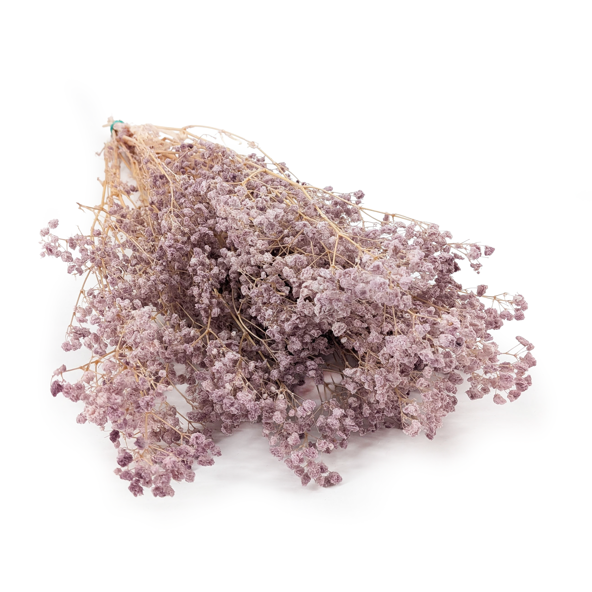 Preserved Gypsophila - Cotton - (Gypsophila) - Dusty Lavender