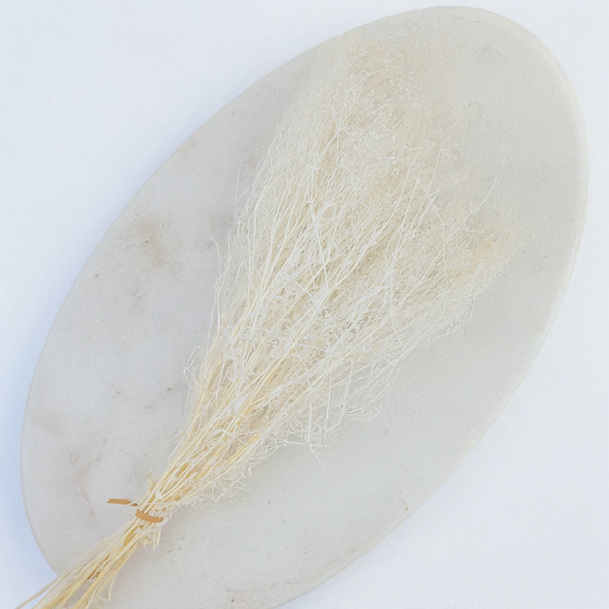 Bleached Preserved MINI Gypsophila | White Baby's Breath