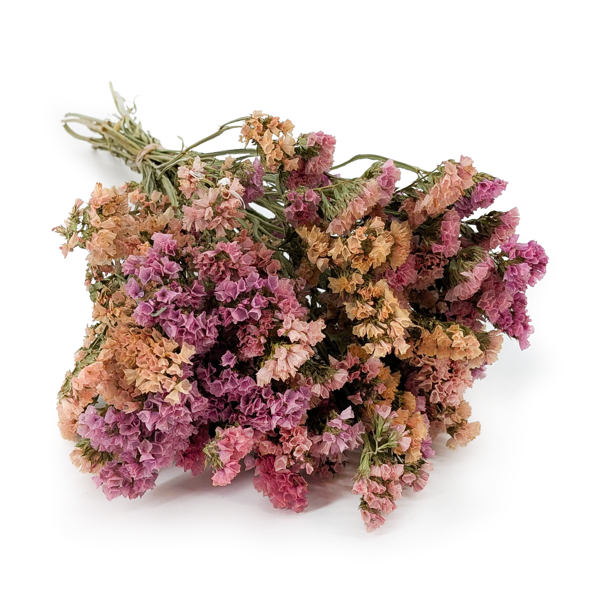 Statice Limonium sinuatum - Apricot