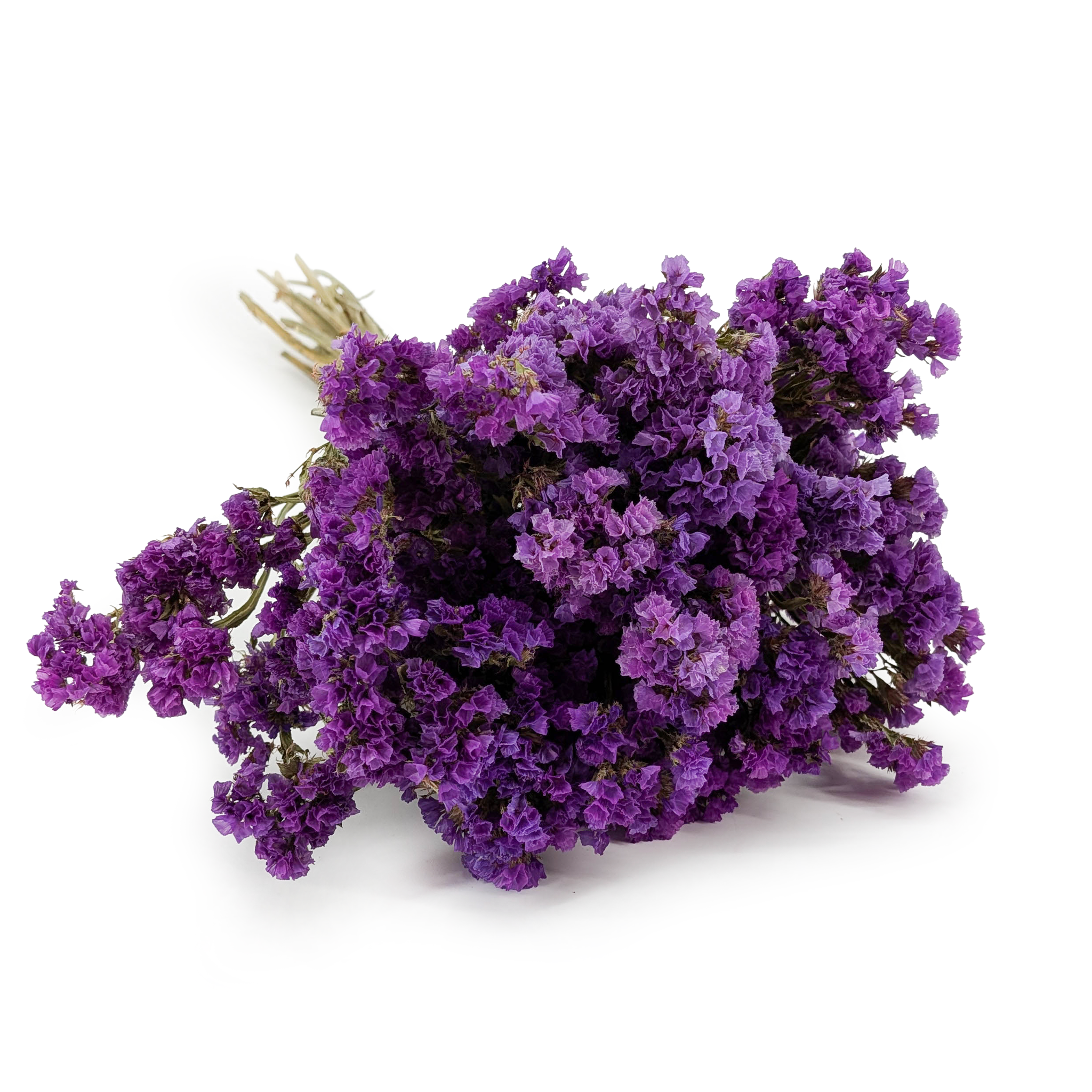 Statice Limonium sinuatum - Purple