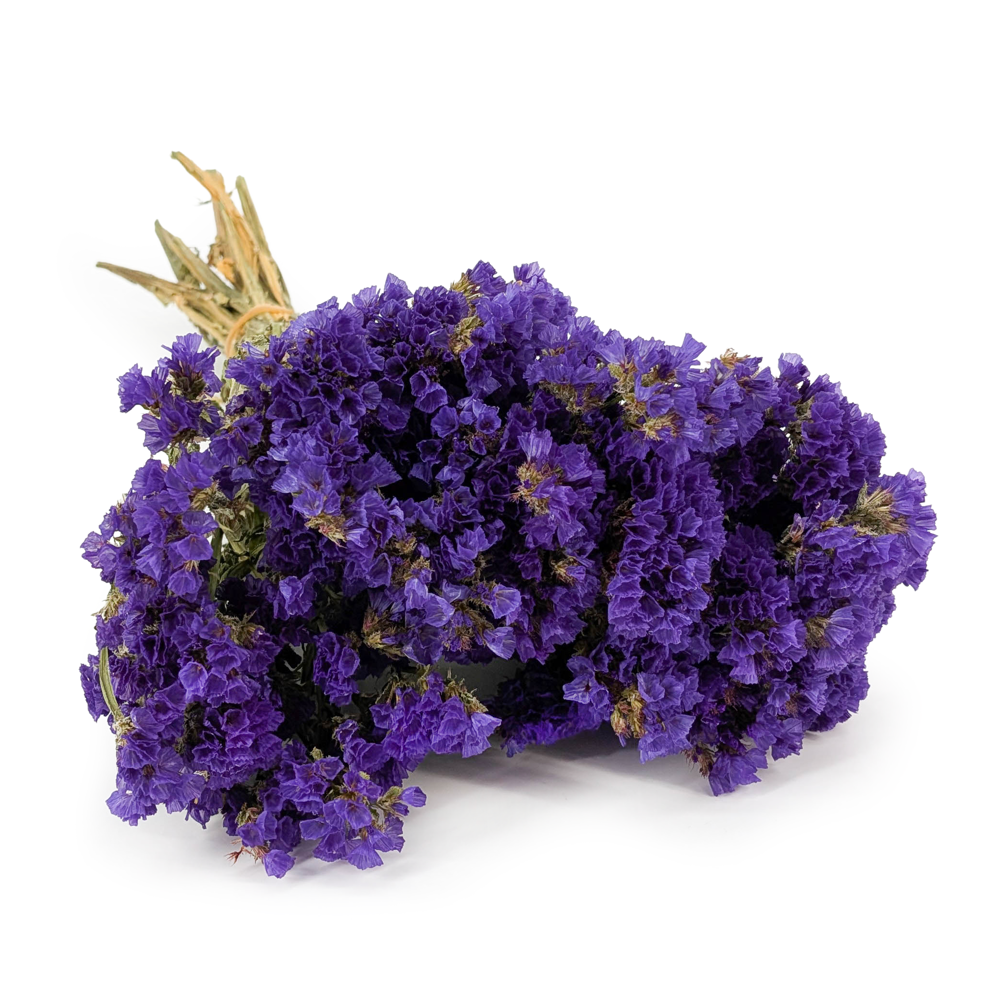 Statice Limonium sinuatum – Dark Purple