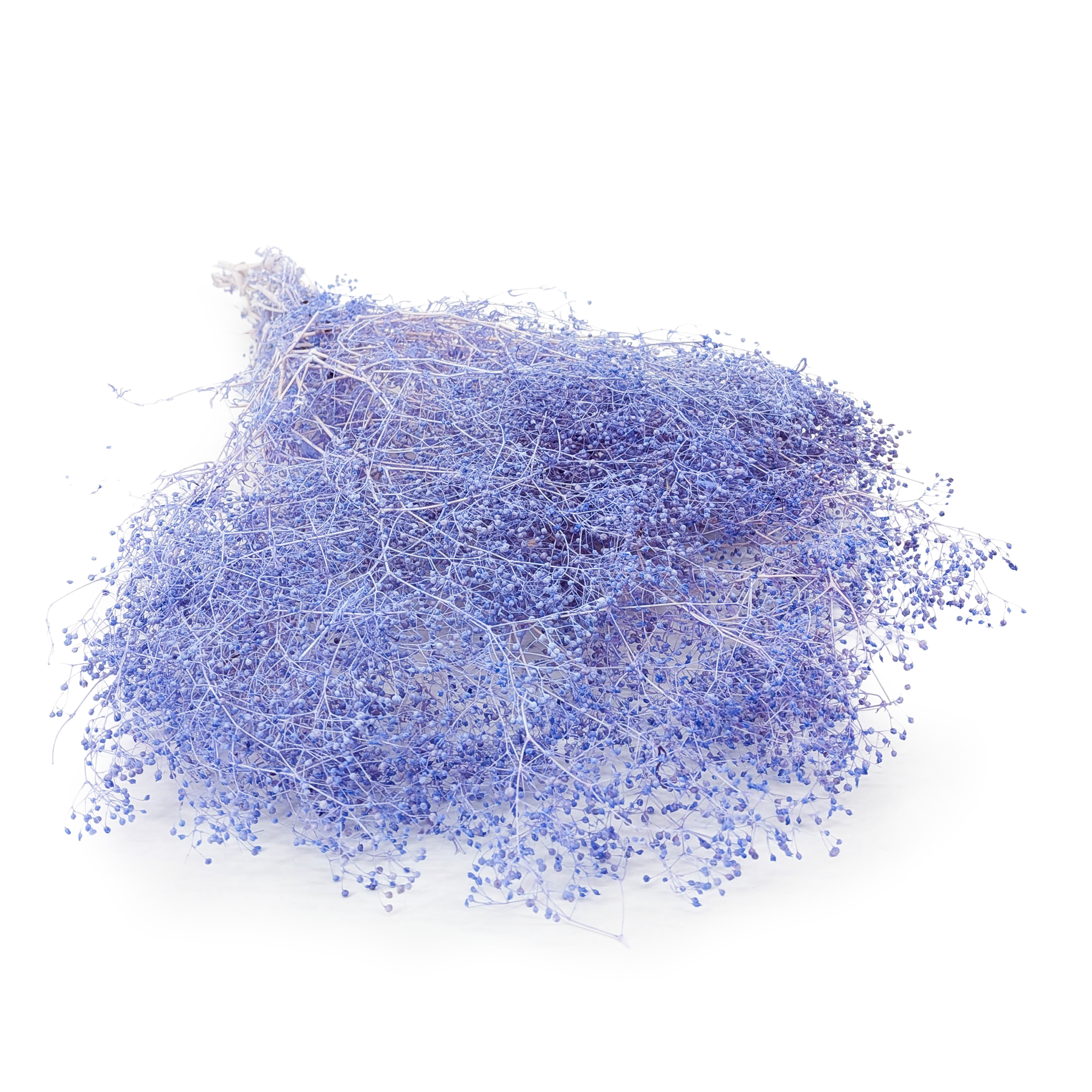 Preserved Small Gypsophila - Baby's Breath - Lilac
