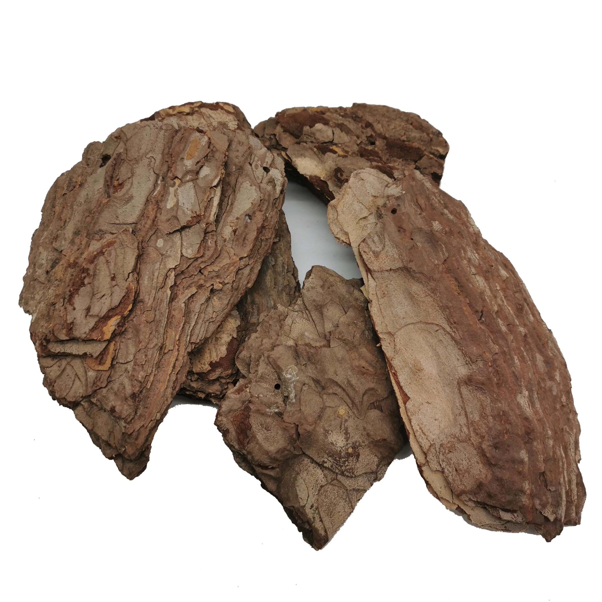Pine Bark - Pack